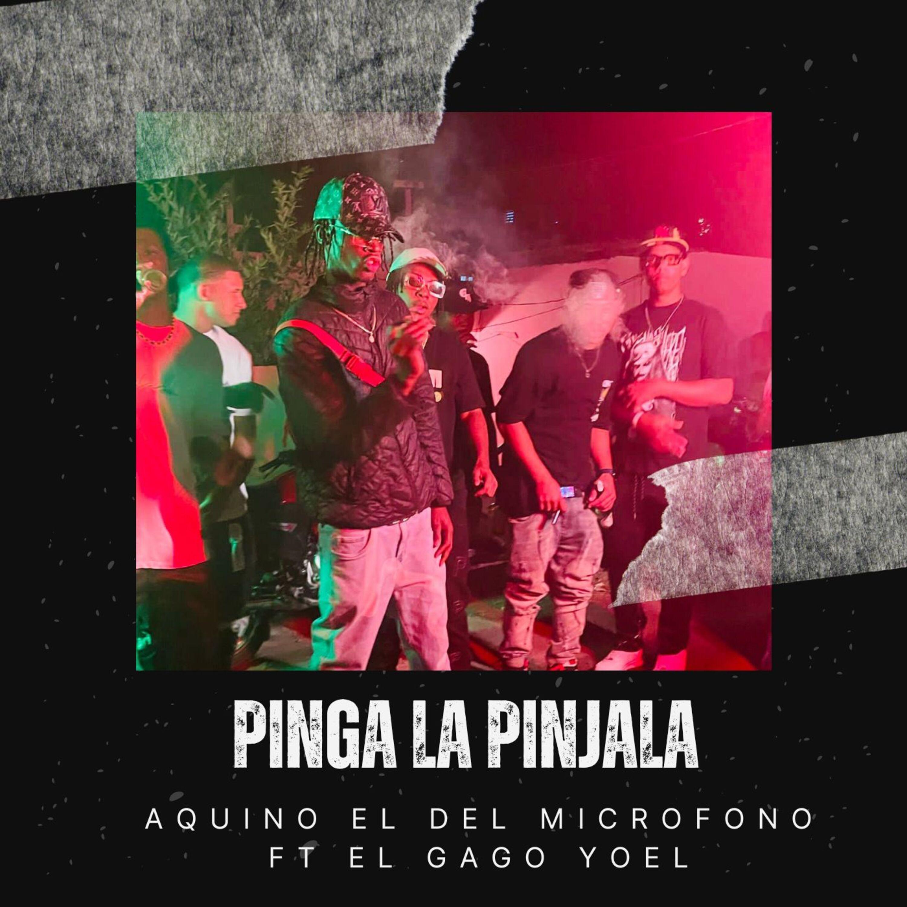 Постер альбома Pinga la Pinjala