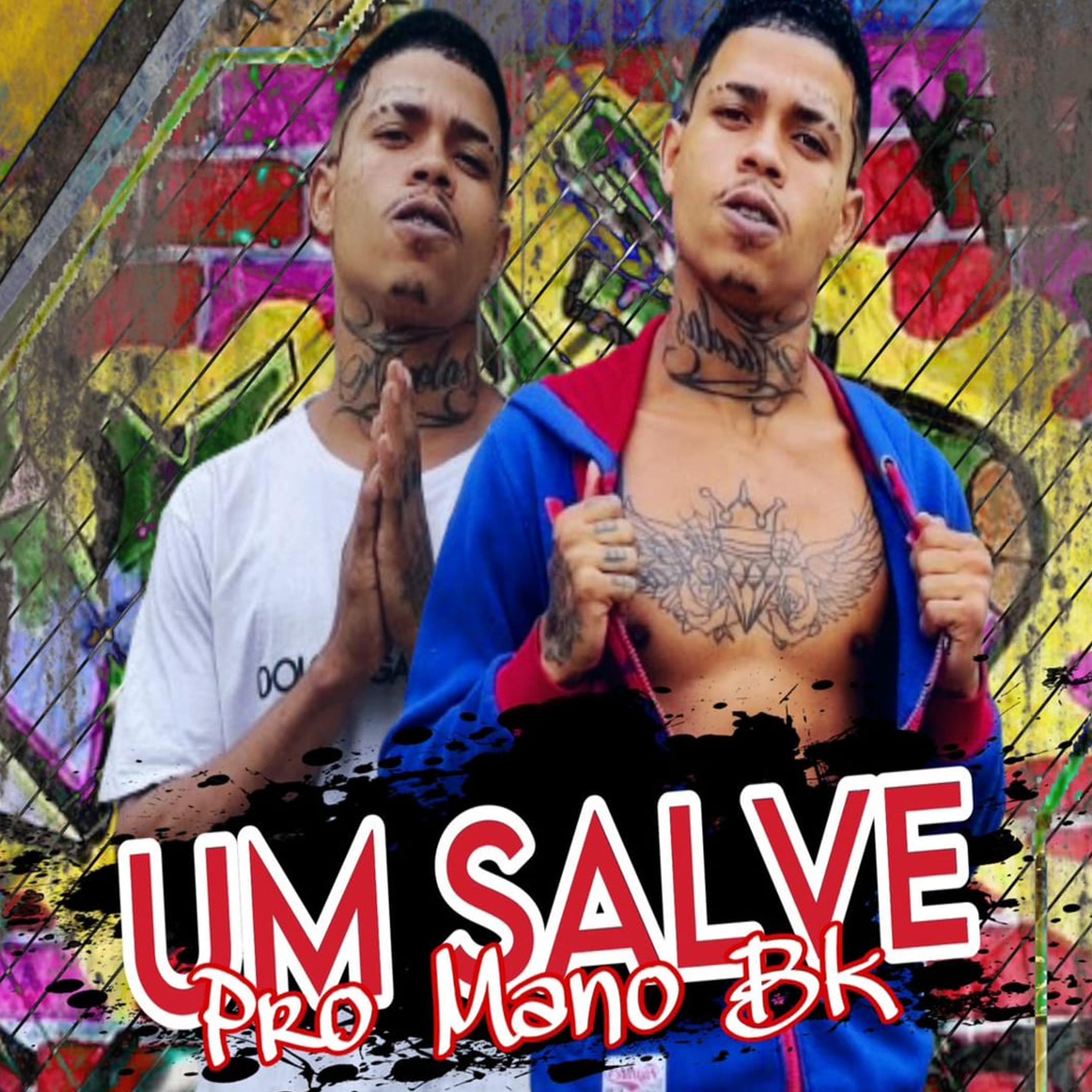 Постер альбома Salve pro Mano Bk