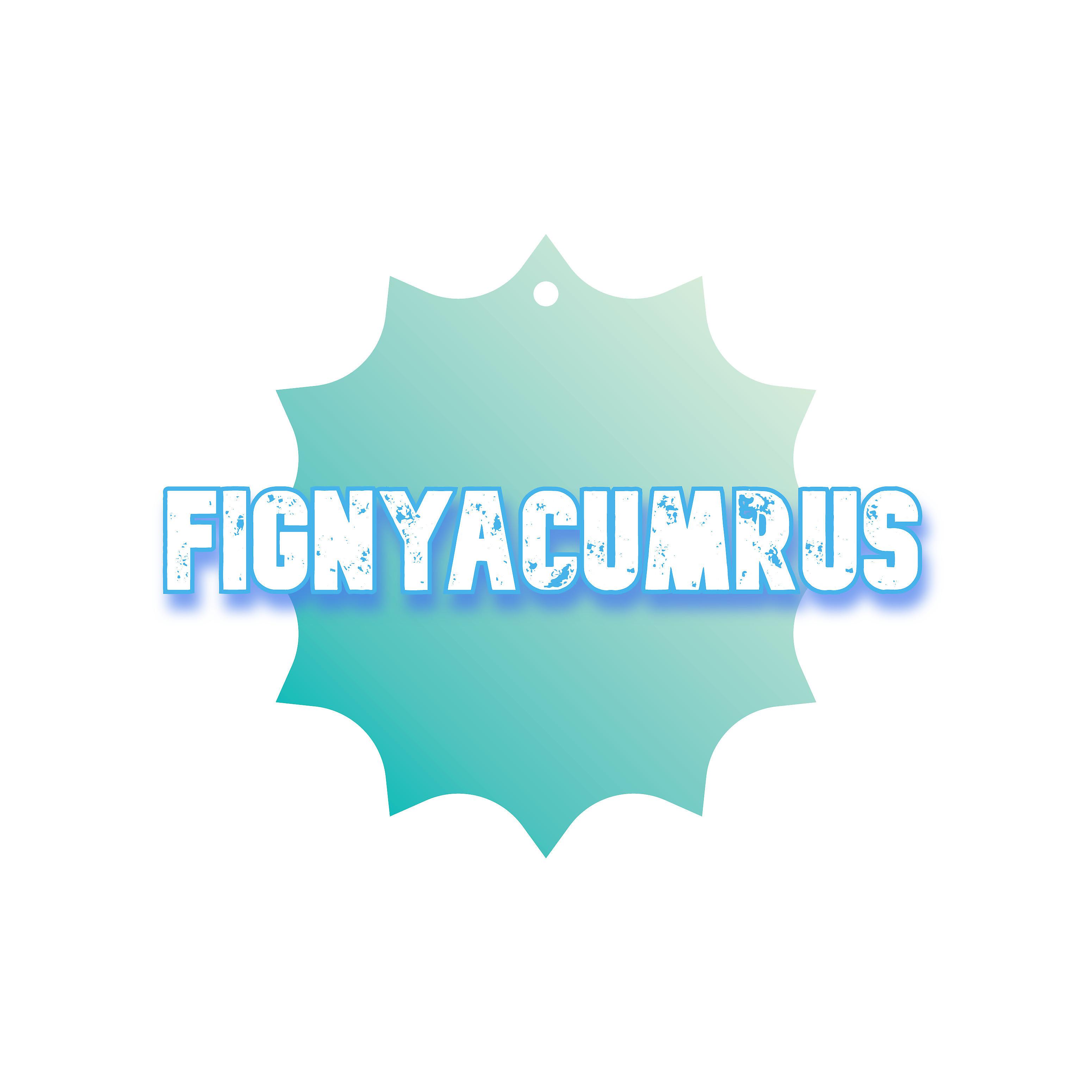Постер альбома Fignyacumrus