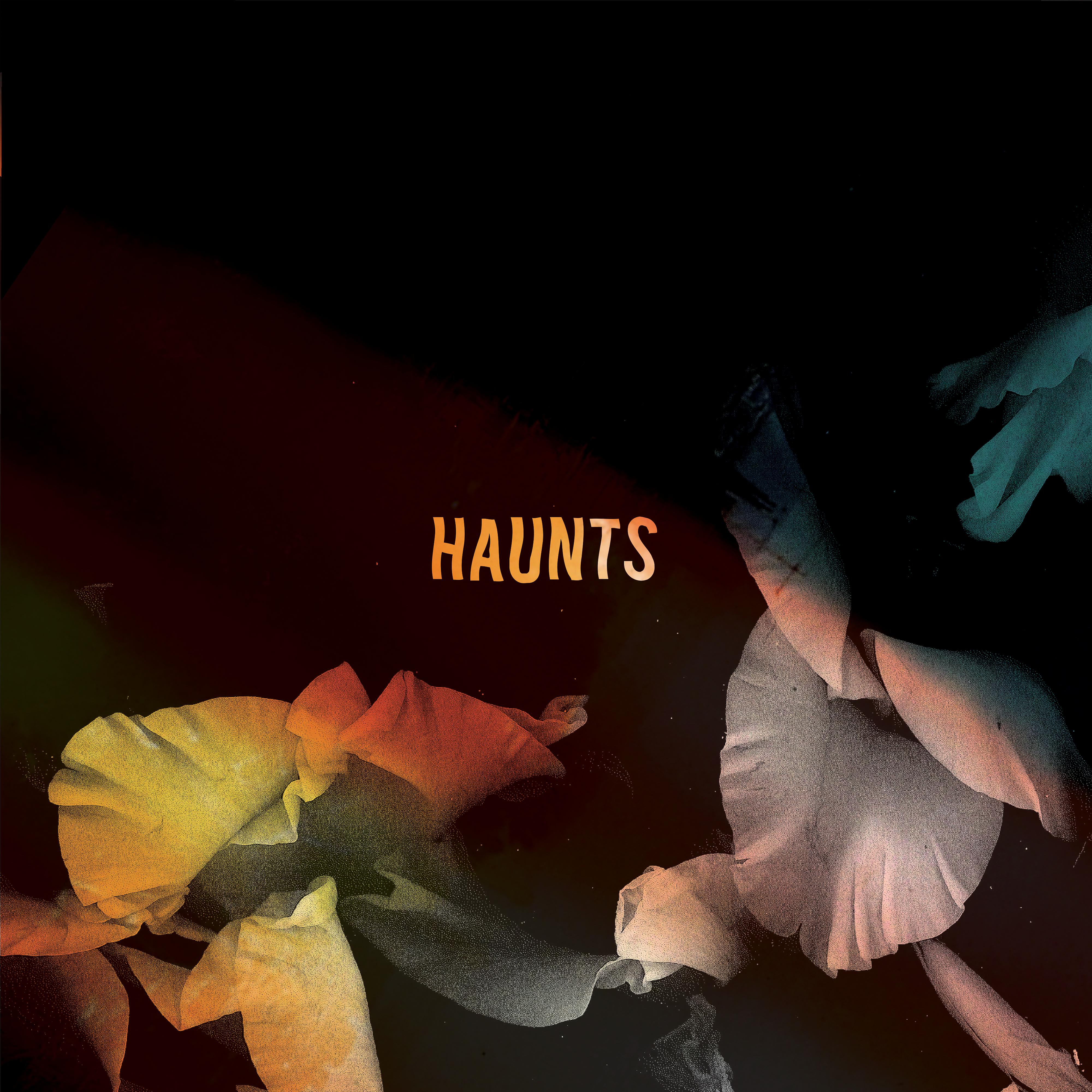 Постер альбома Haunts