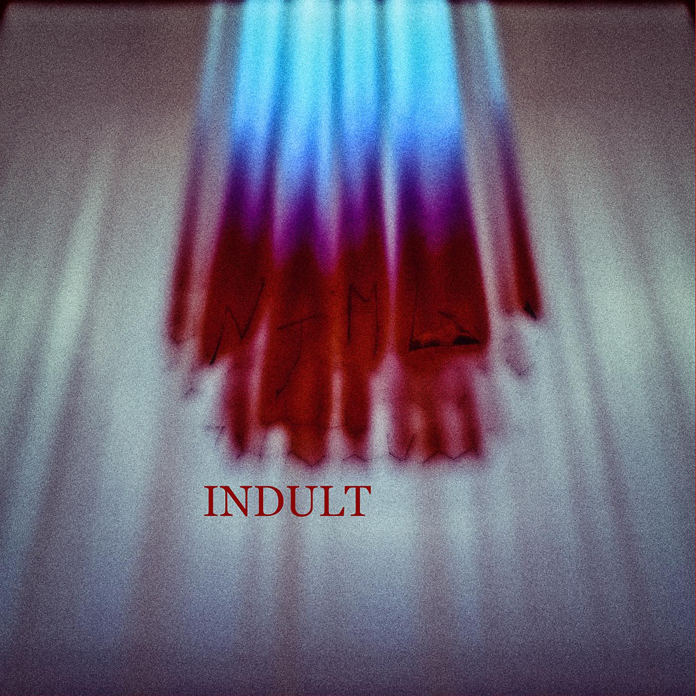 Постер альбома Indult