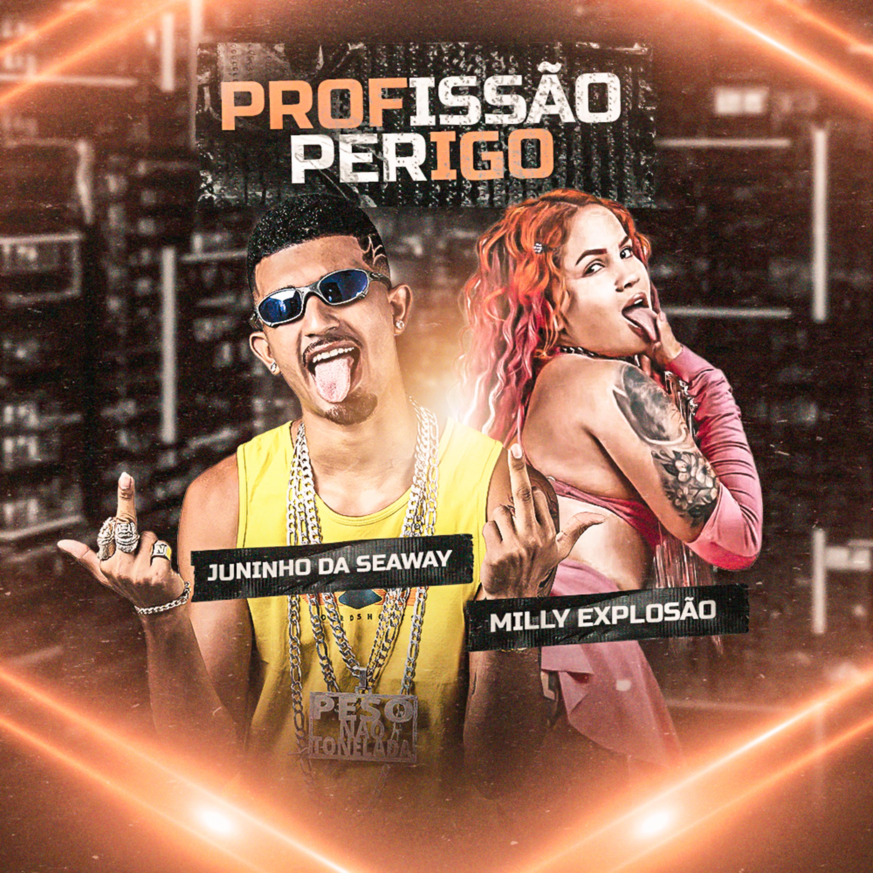 Постер альбома Profissão Perigo