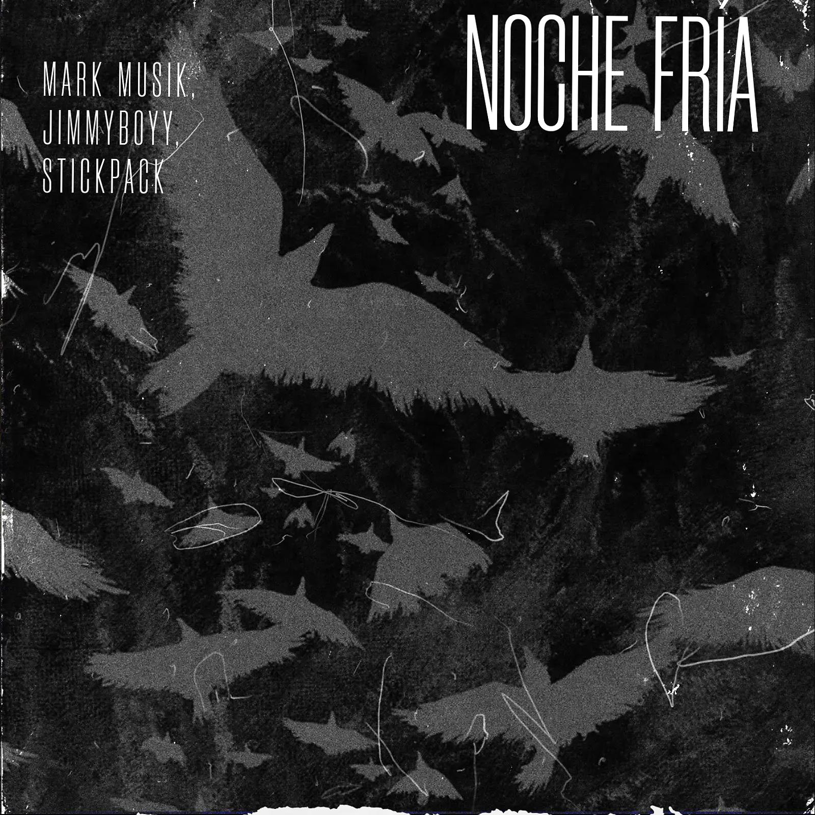 Постер альбома Noche Fria (feat. Jimmyboyy, Stickpack) [Remix]
