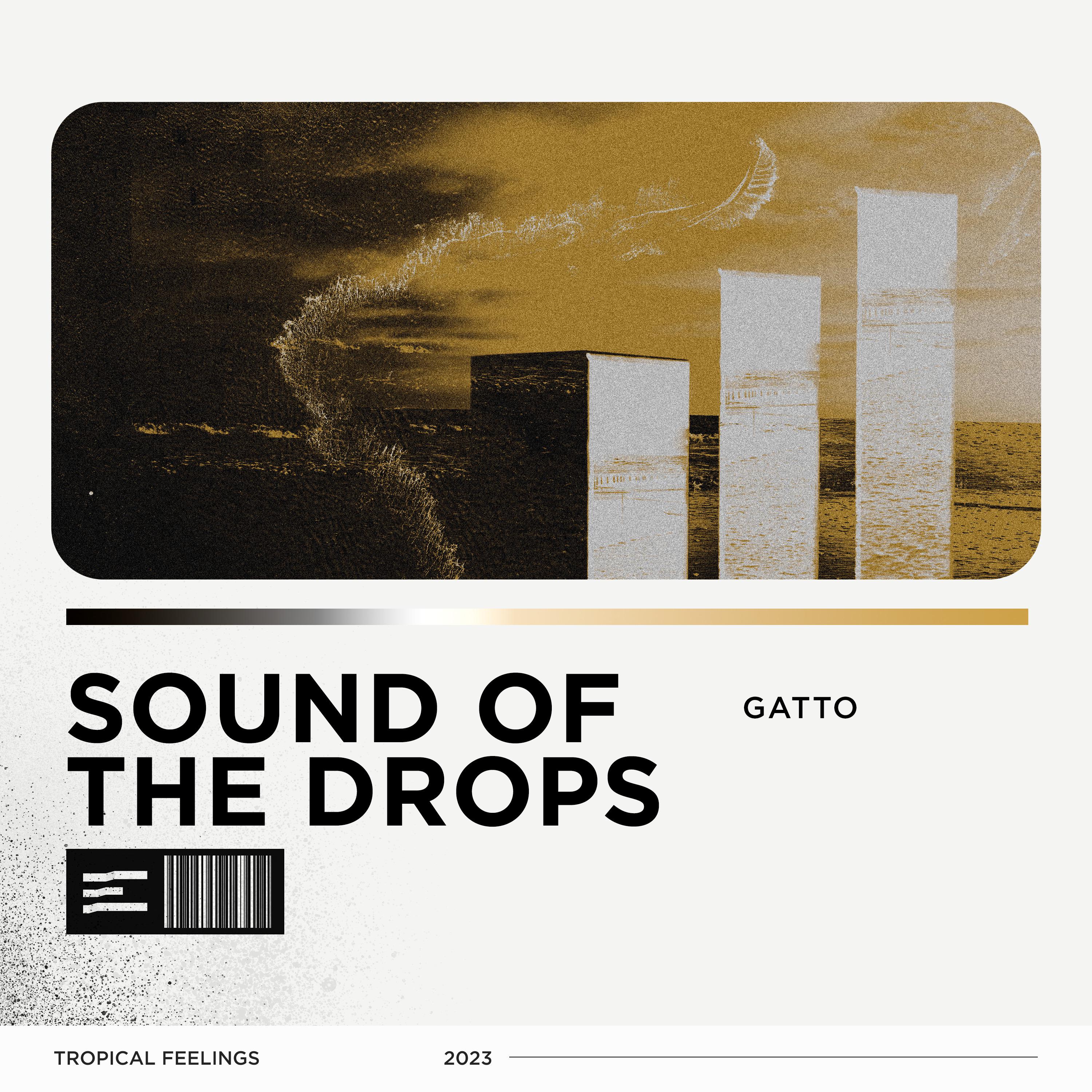 Постер альбома Sound of the Drops