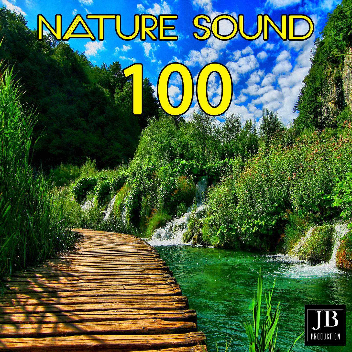 Постер альбома 100 Nature Sound
