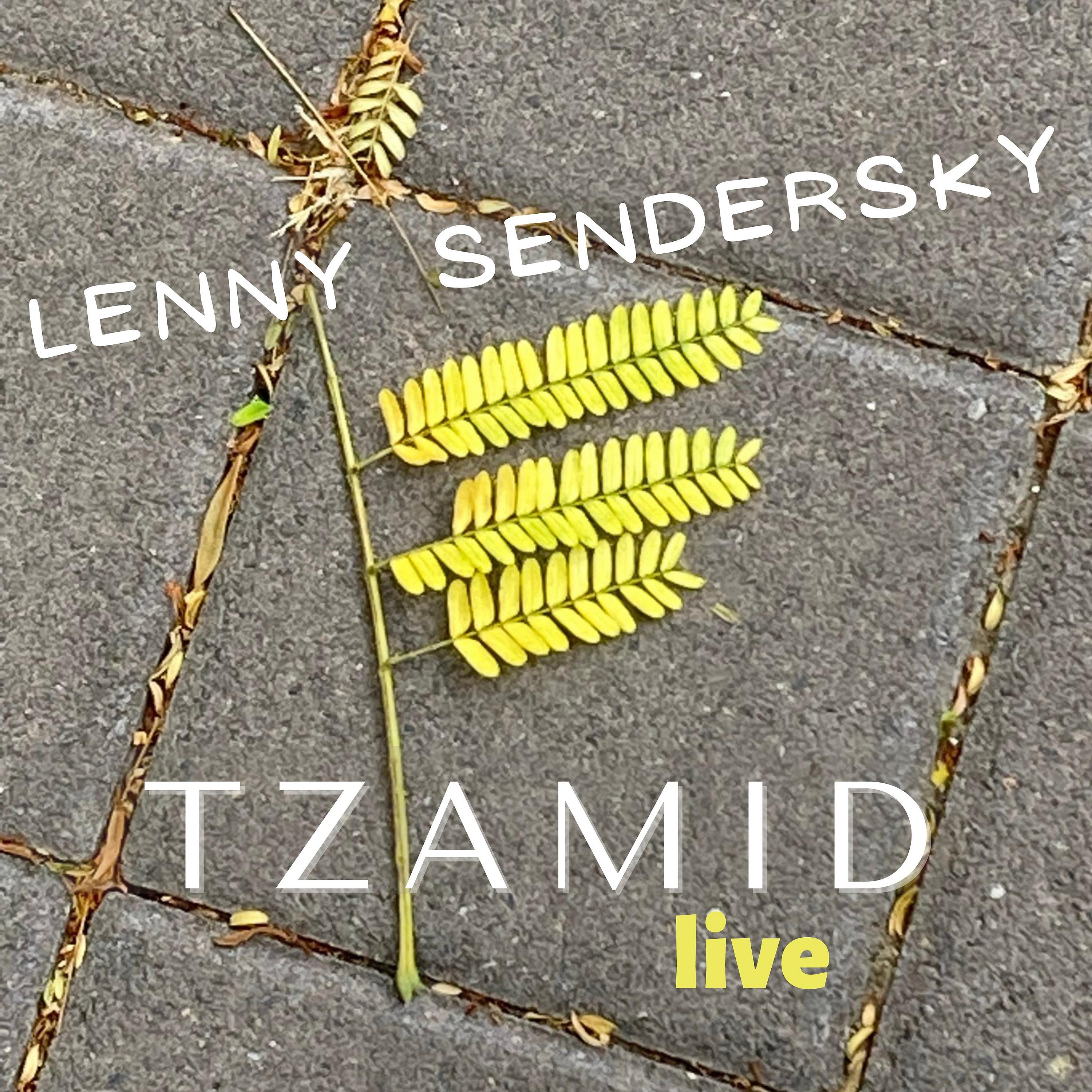 Постер альбома Tzamid (Live)