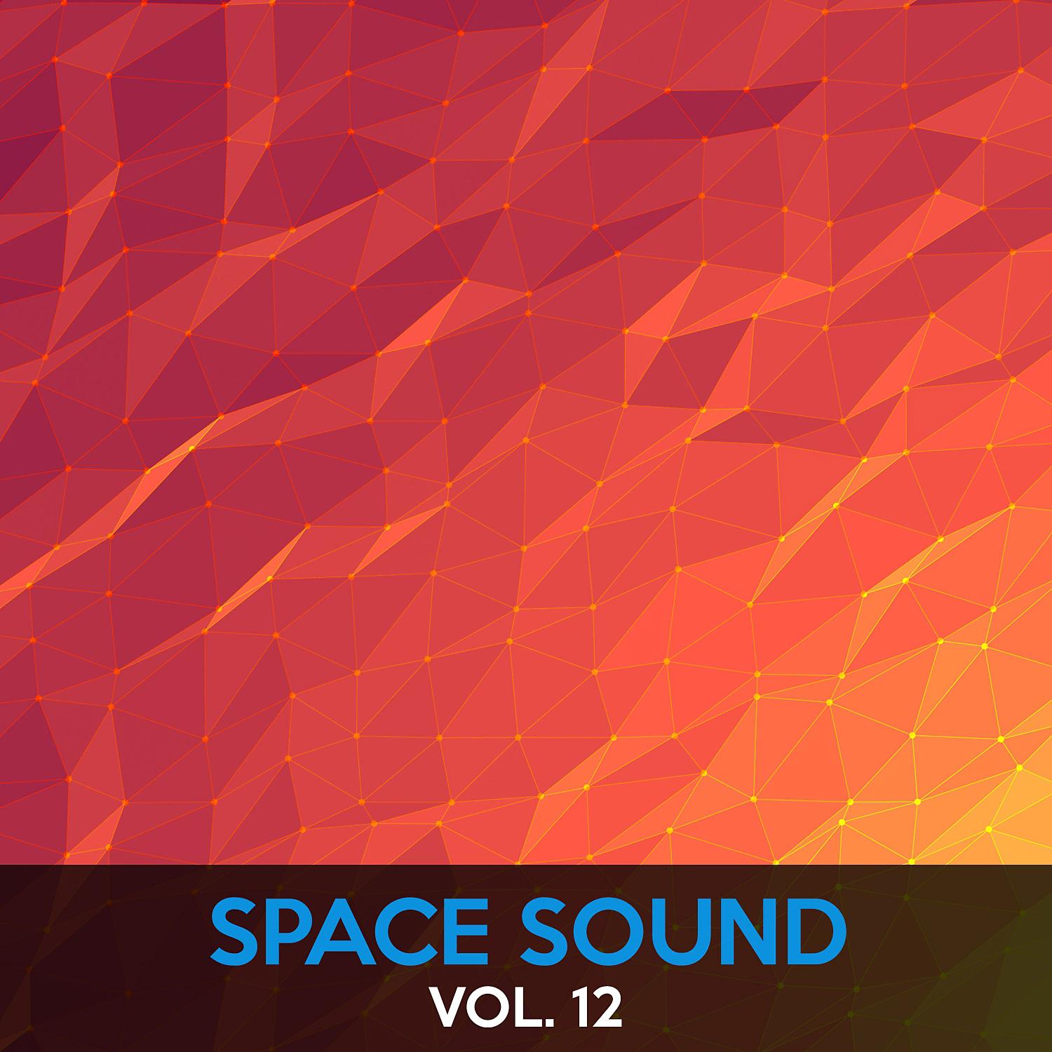 Постер альбома Space Sound, Vol. 12