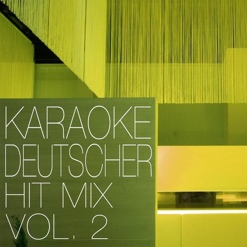 Постер альбома Deutscher Hit Mix, Vol. 2