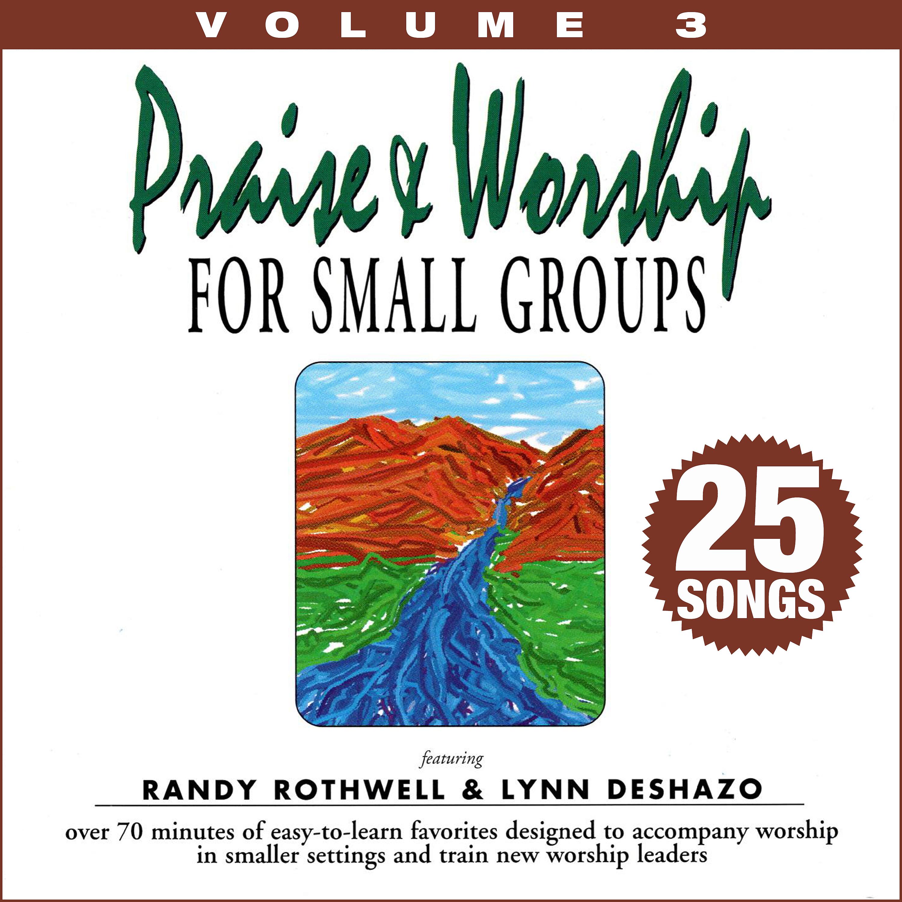 Постер альбома Praise & Worship for Small Groups, Vol. 3 (Whole Hearted Worship)