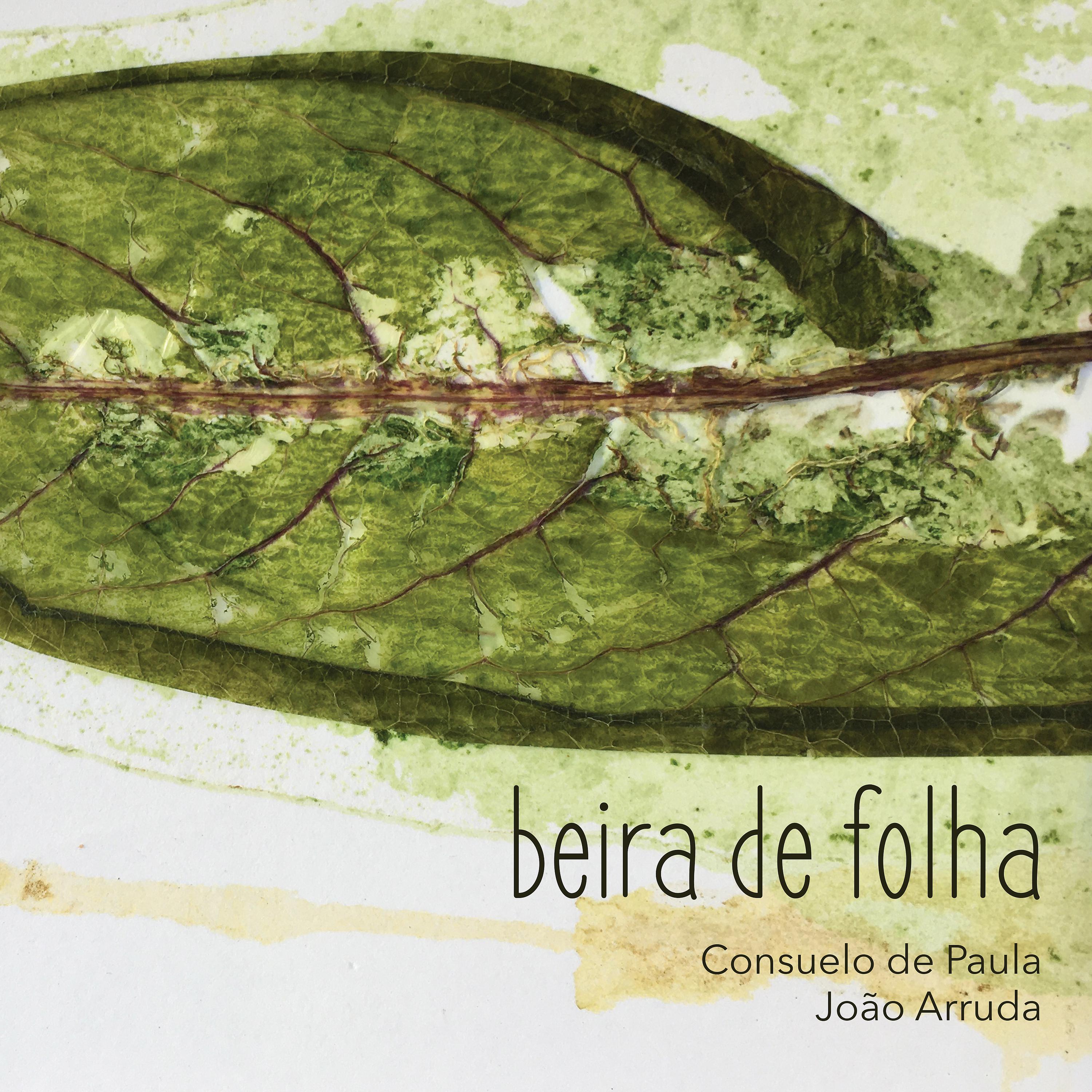 Постер альбома Beira de Folha