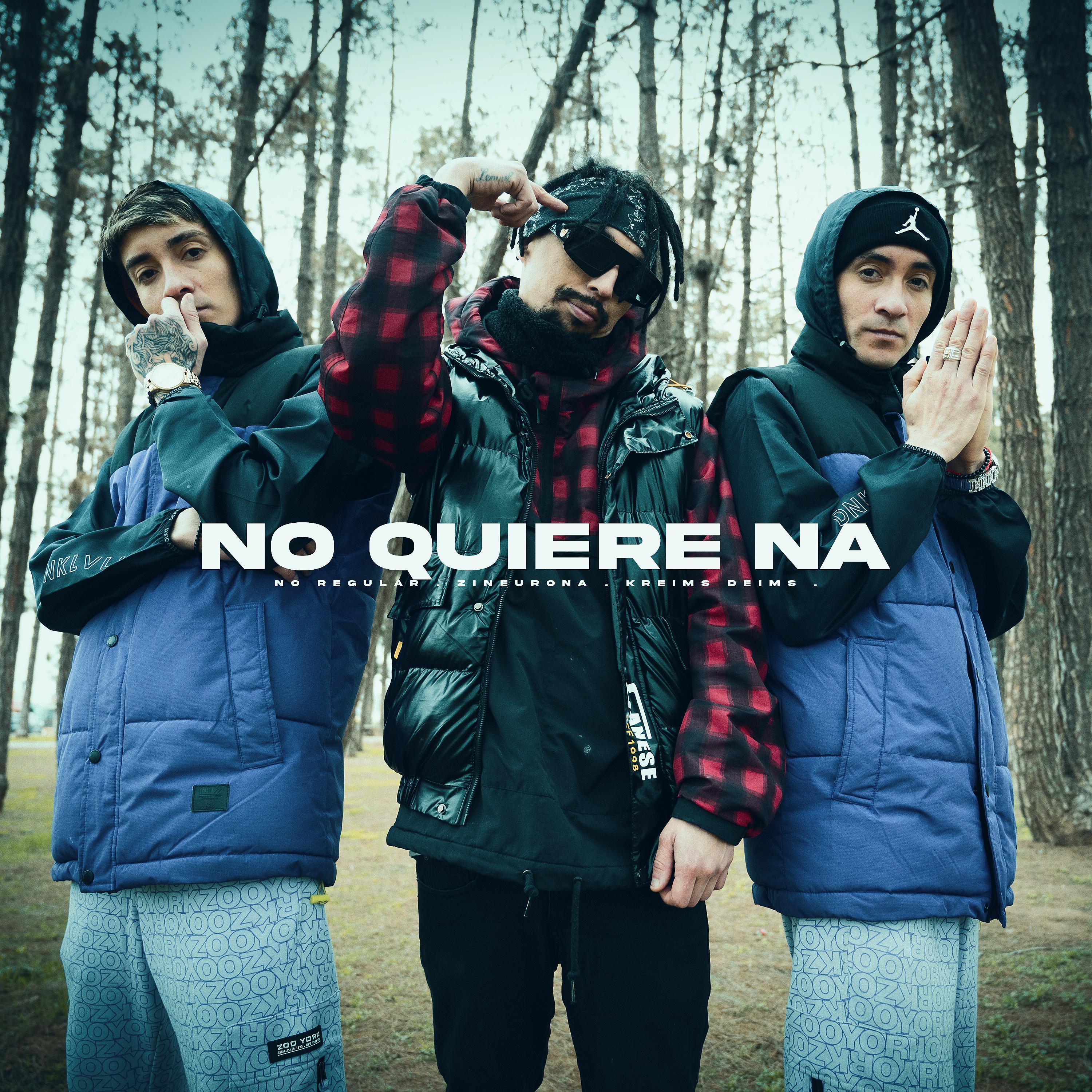 Постер альбома No Quiere Na