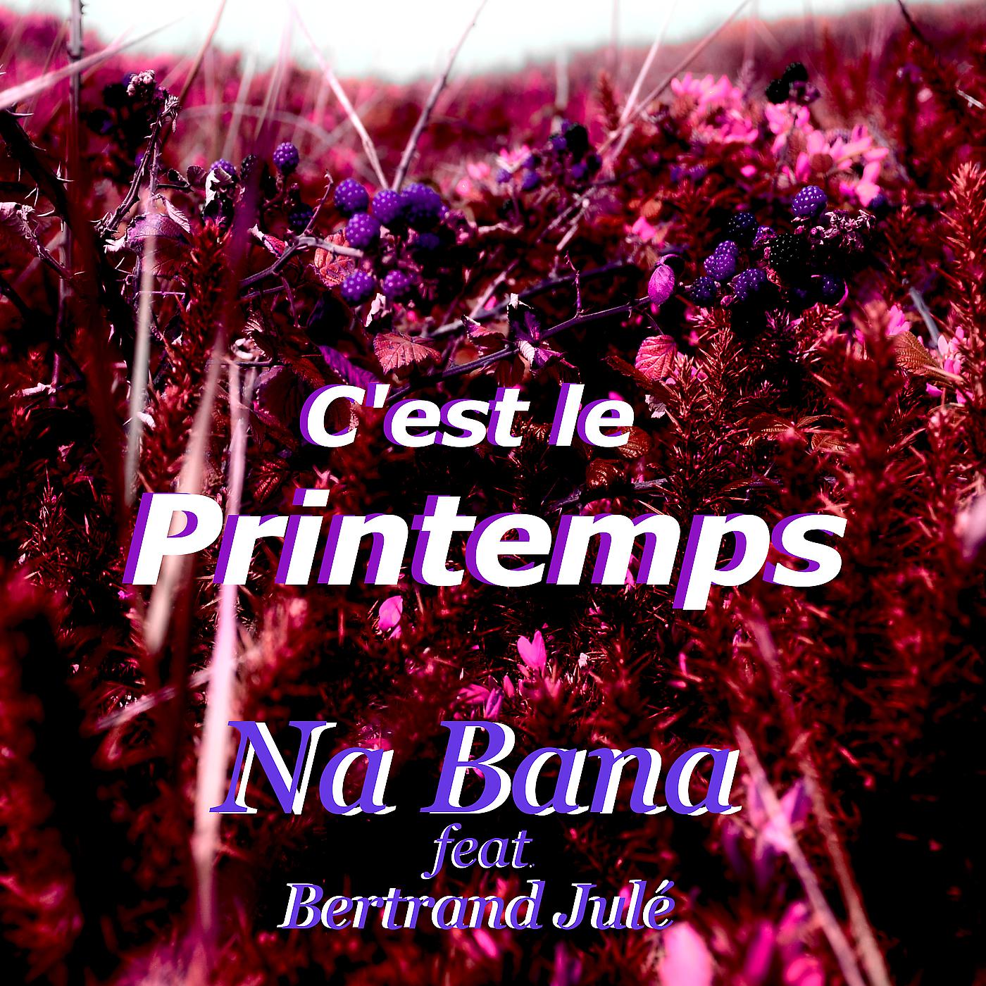 Постер альбома C'est le printemps