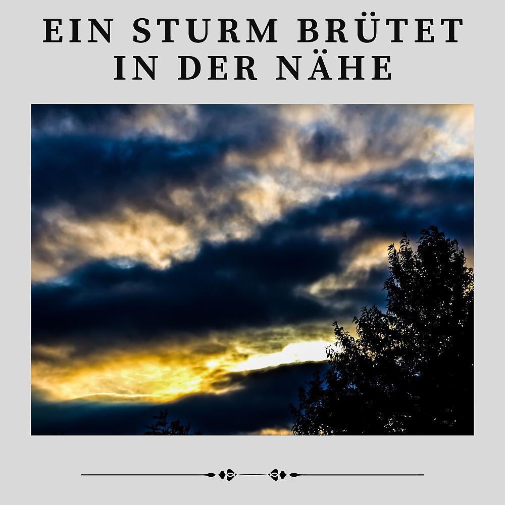 Постер альбома Ein Sturm Brütet in Der Nähe