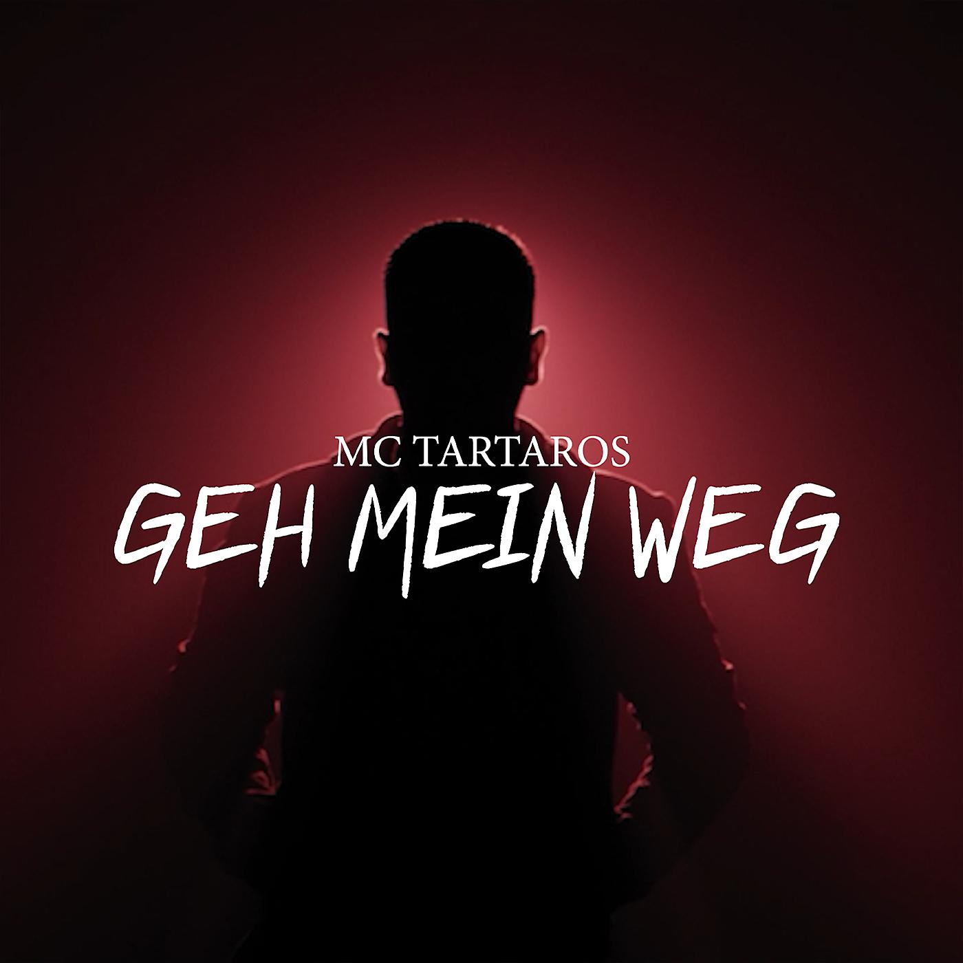 Постер альбома Geh Mein Weg