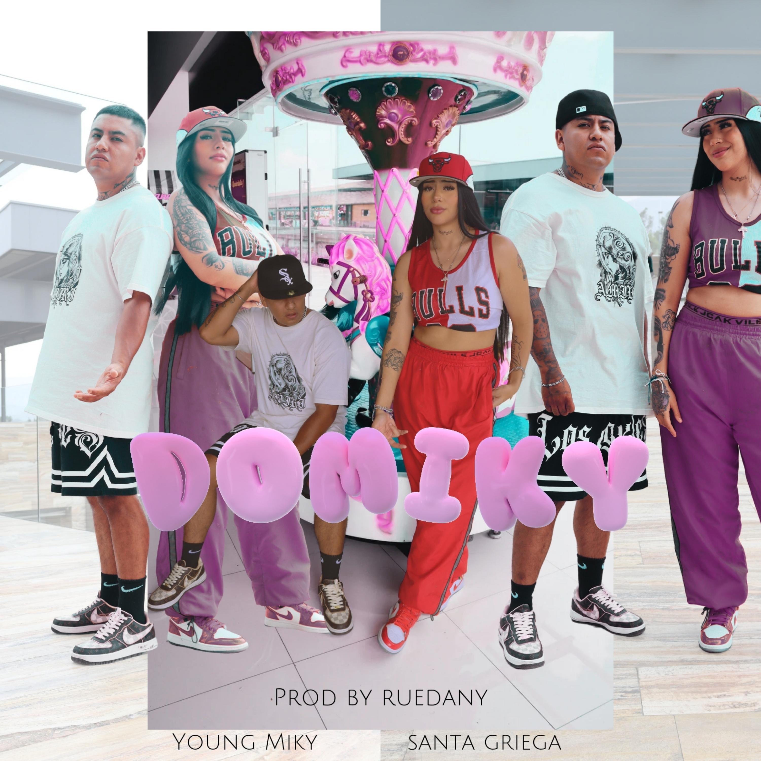 Постер альбома Domiky
