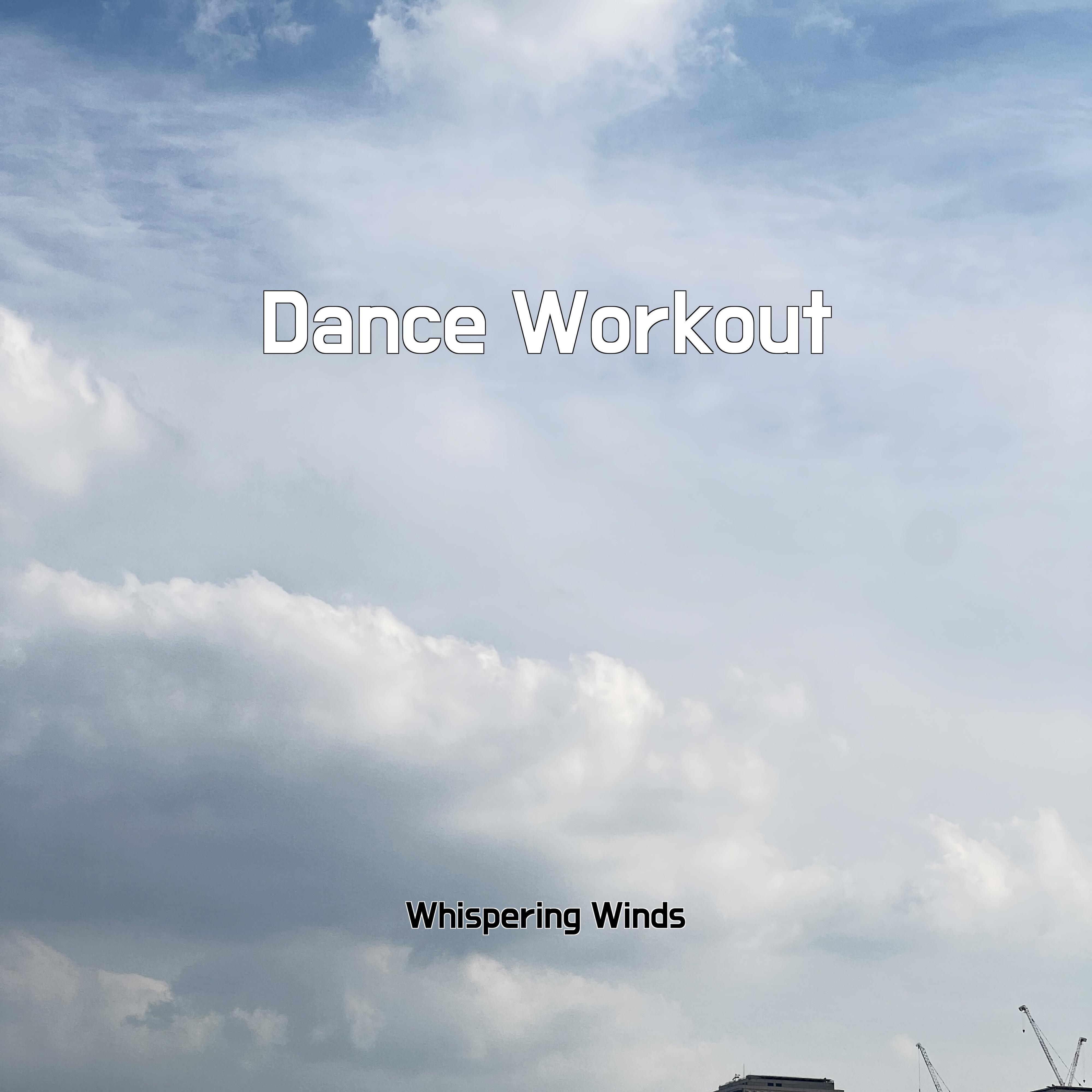Постер альбома Dance Workout