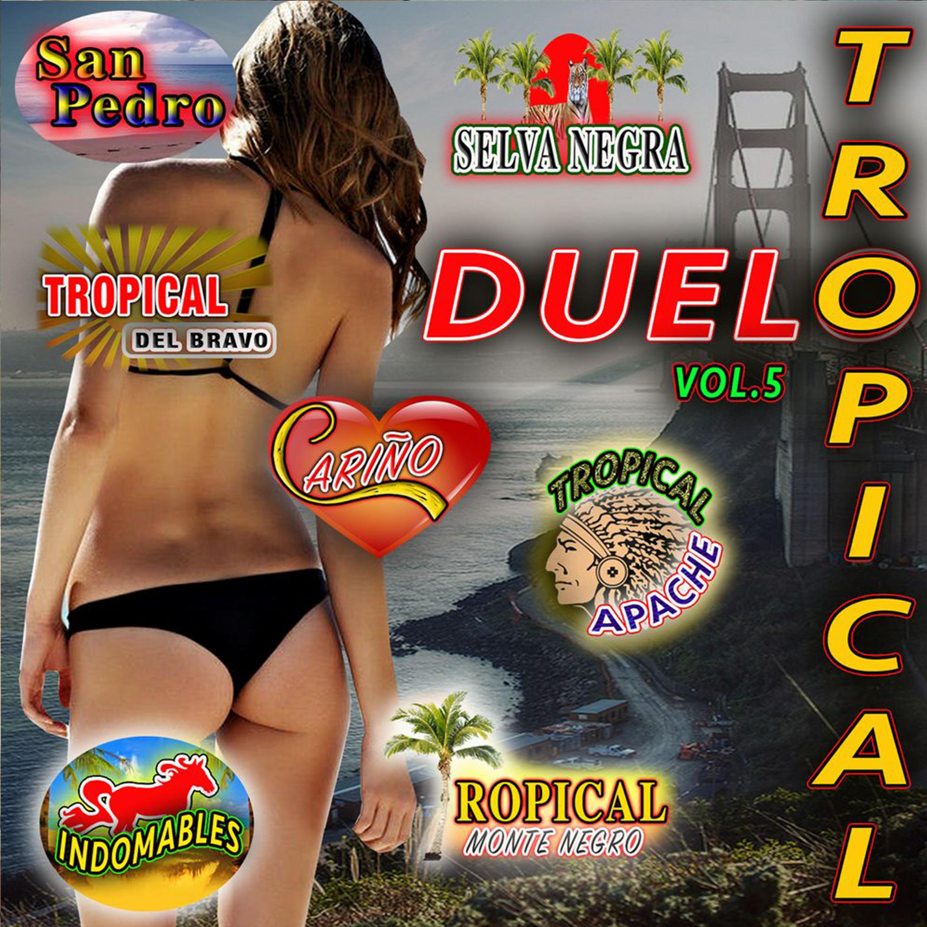 Постер альбома Duelo Tropical, Vol. 5