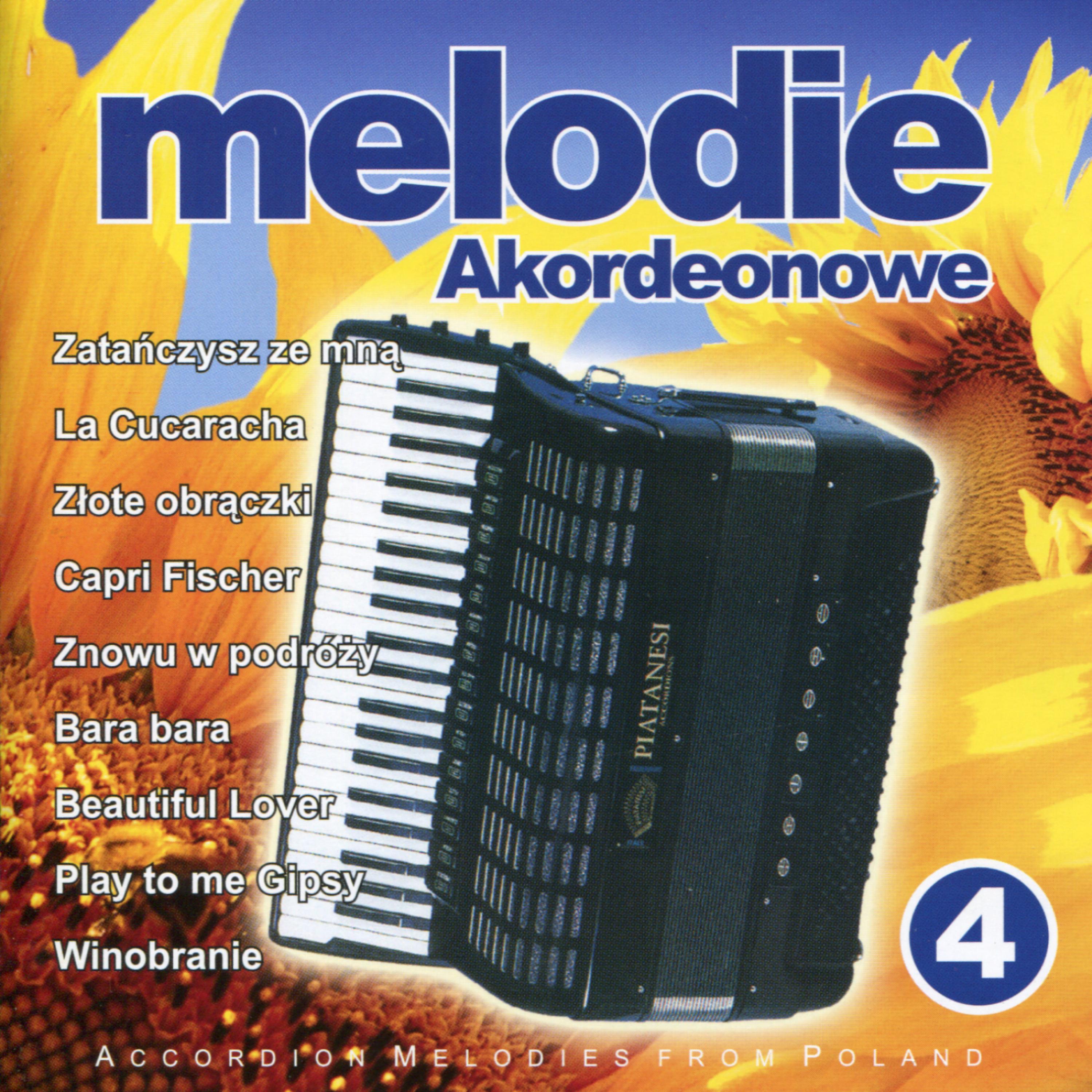 Постер альбома Na Dancingu - Accordion Melodies from Poland