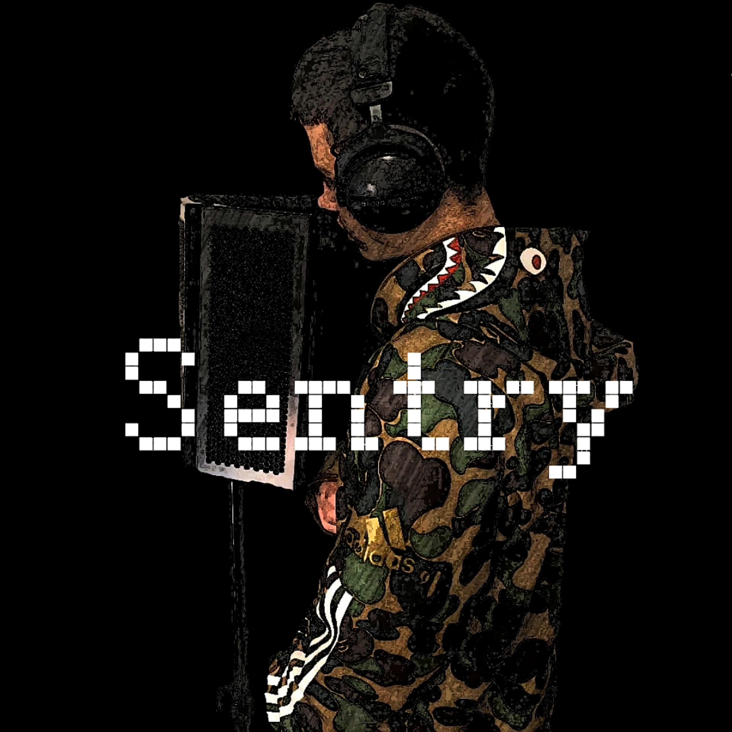 Постер альбома Sentry