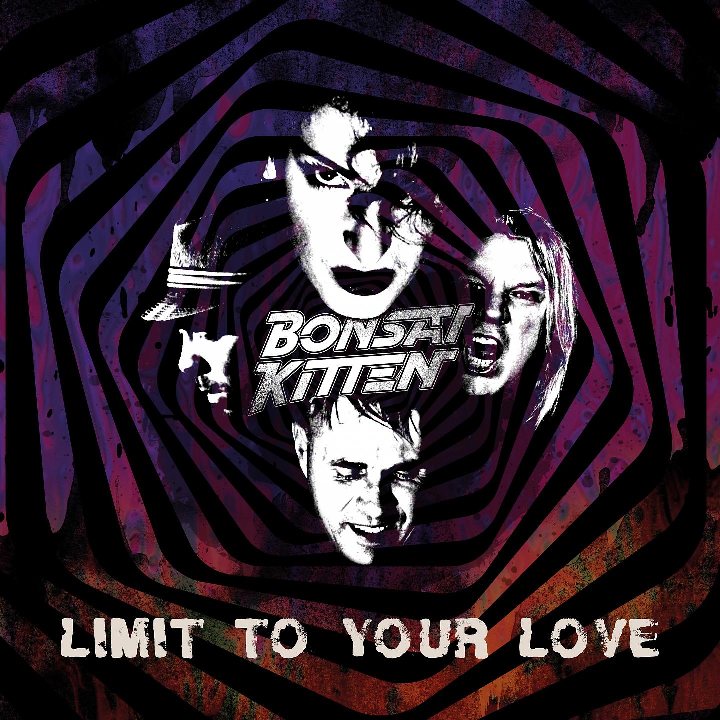 Постер альбома Limit to Your Love