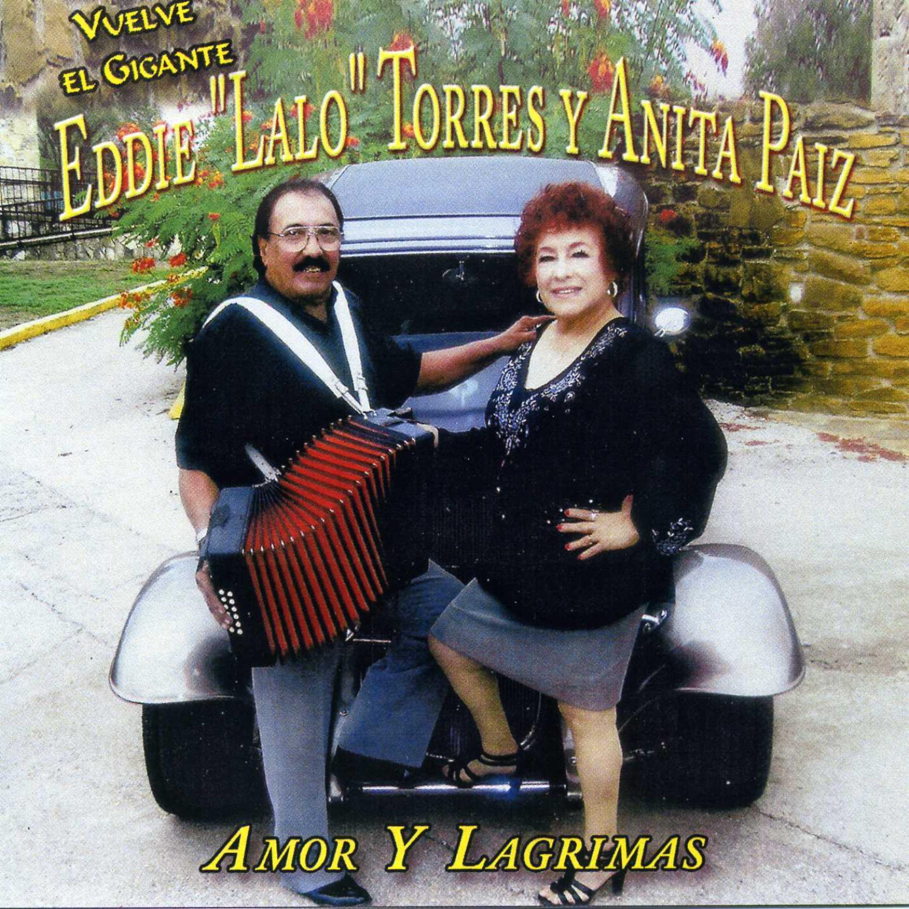 Постер альбома Amor y Lagrimas