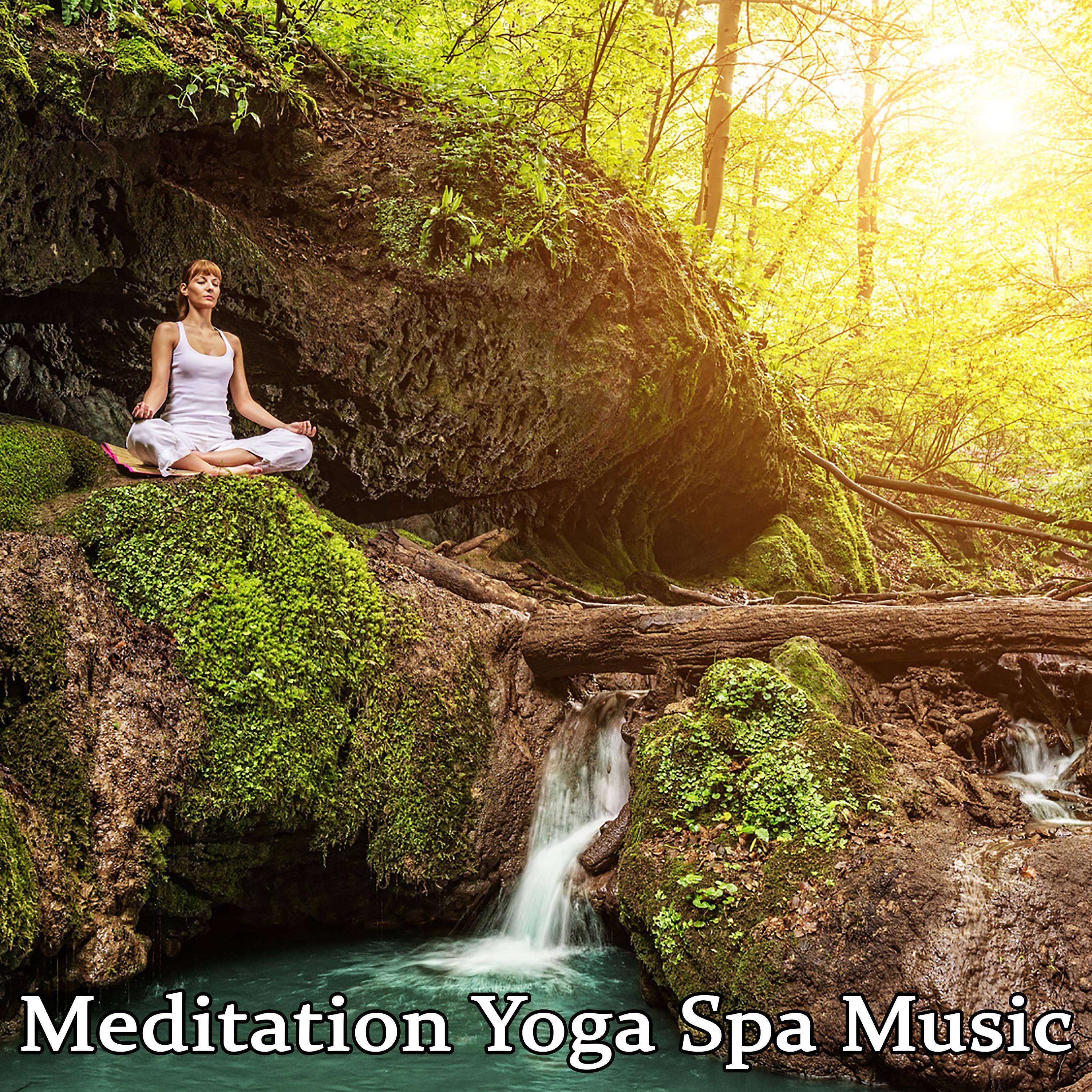 Постер альбома Meditation Yoga Spa Music