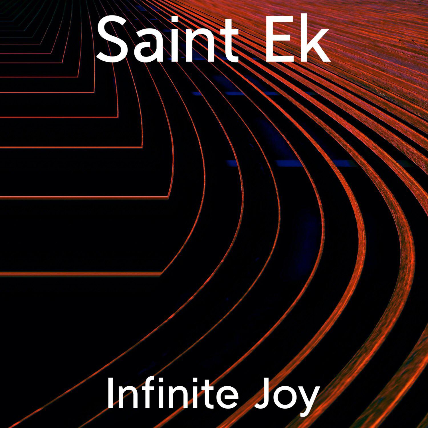 Постер альбома Infinite Joy