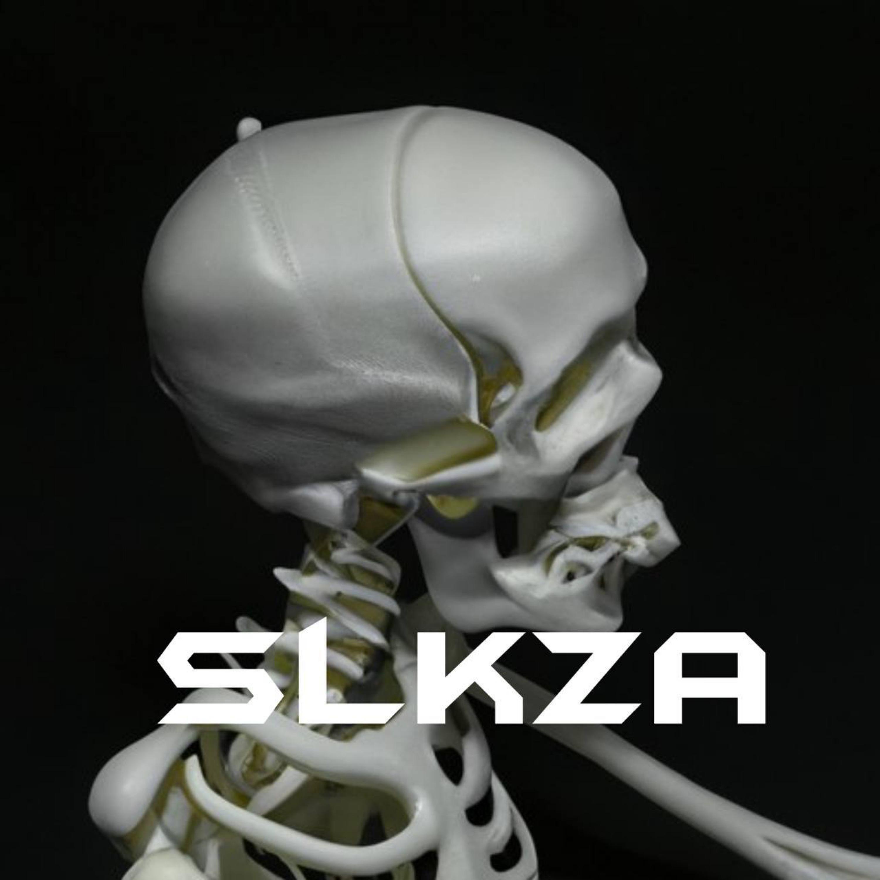 Постер альбома slkza