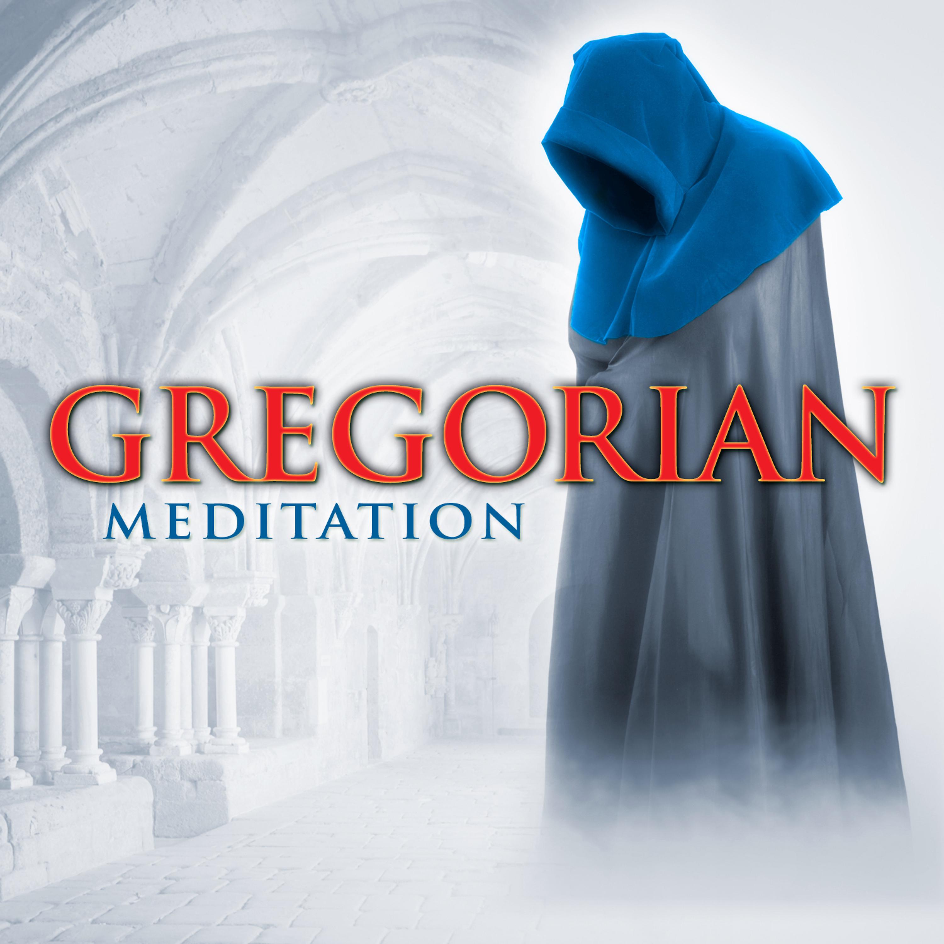 Постер альбома Gregorian Meditation