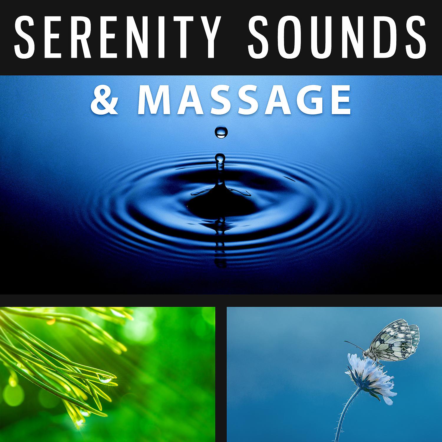 Постер альбома Serenity Sounds & Massage – Tantric Massage, Relaxing Spa Music, Slow Gentle Massage, Reiki Healing
