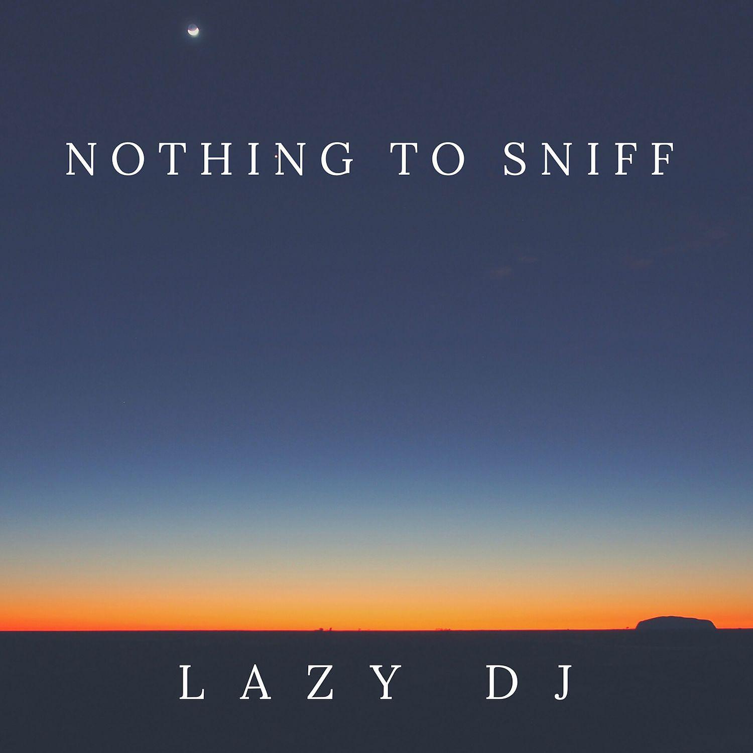 Постер альбома Lazy DJ