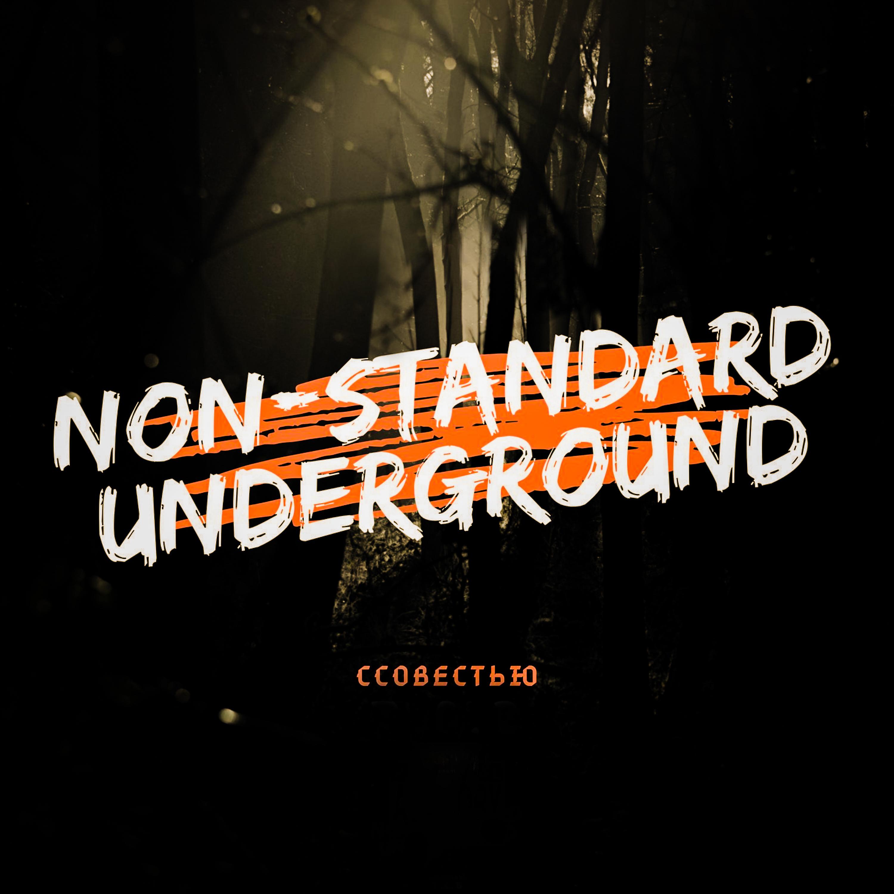 Постер альбома Non-Standart Underground