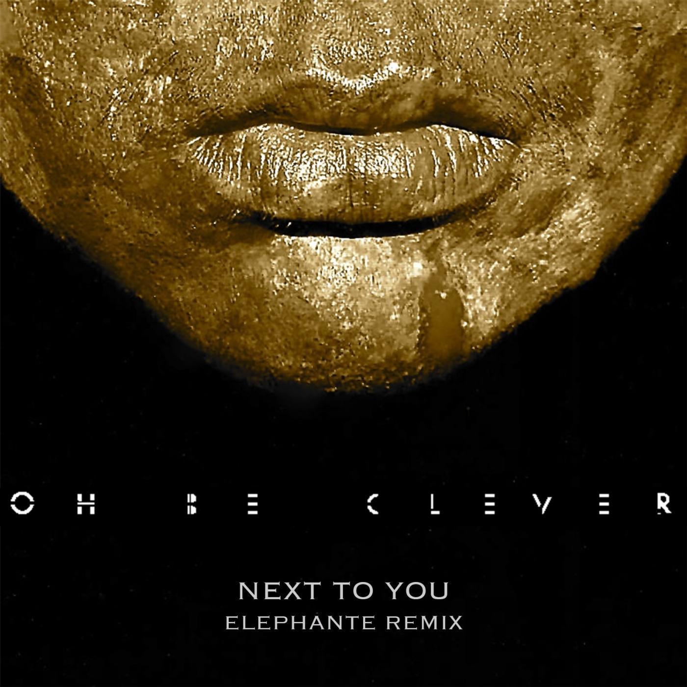Постер альбома Next to You (Remix) [feat. Elephante]
