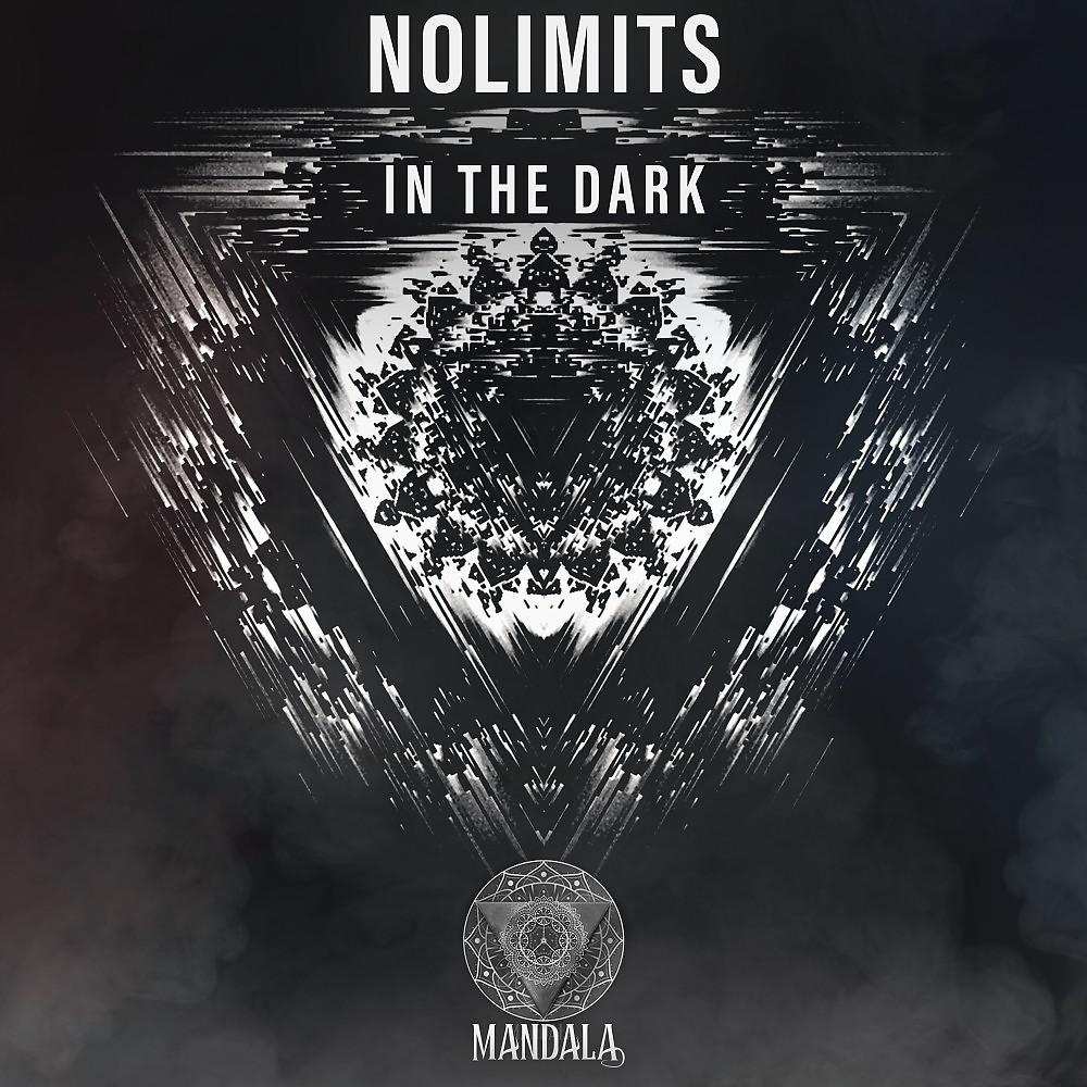 Постер альбома In the Dark (Extended Mix)