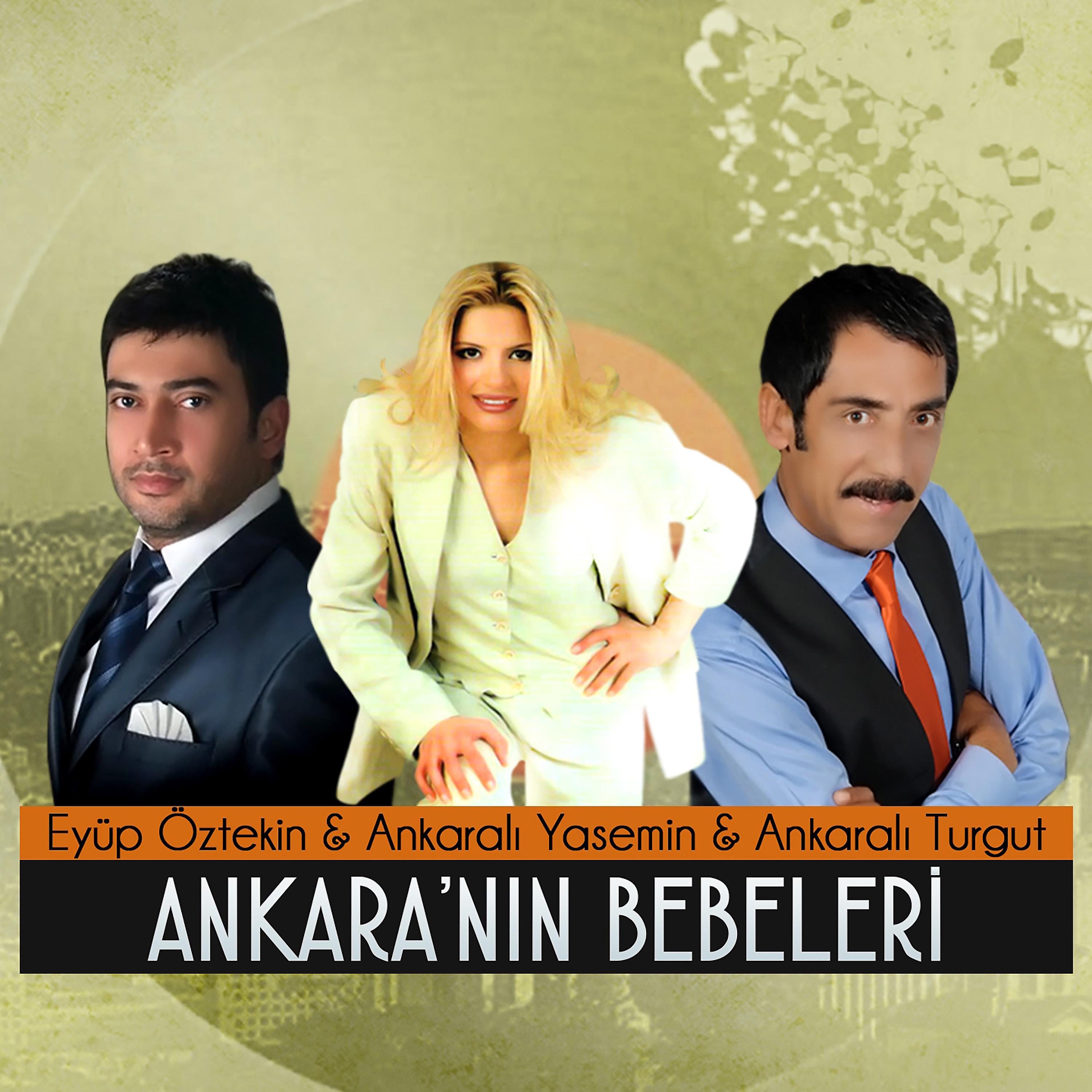 Постер альбома Ankara'nın Bebeleri