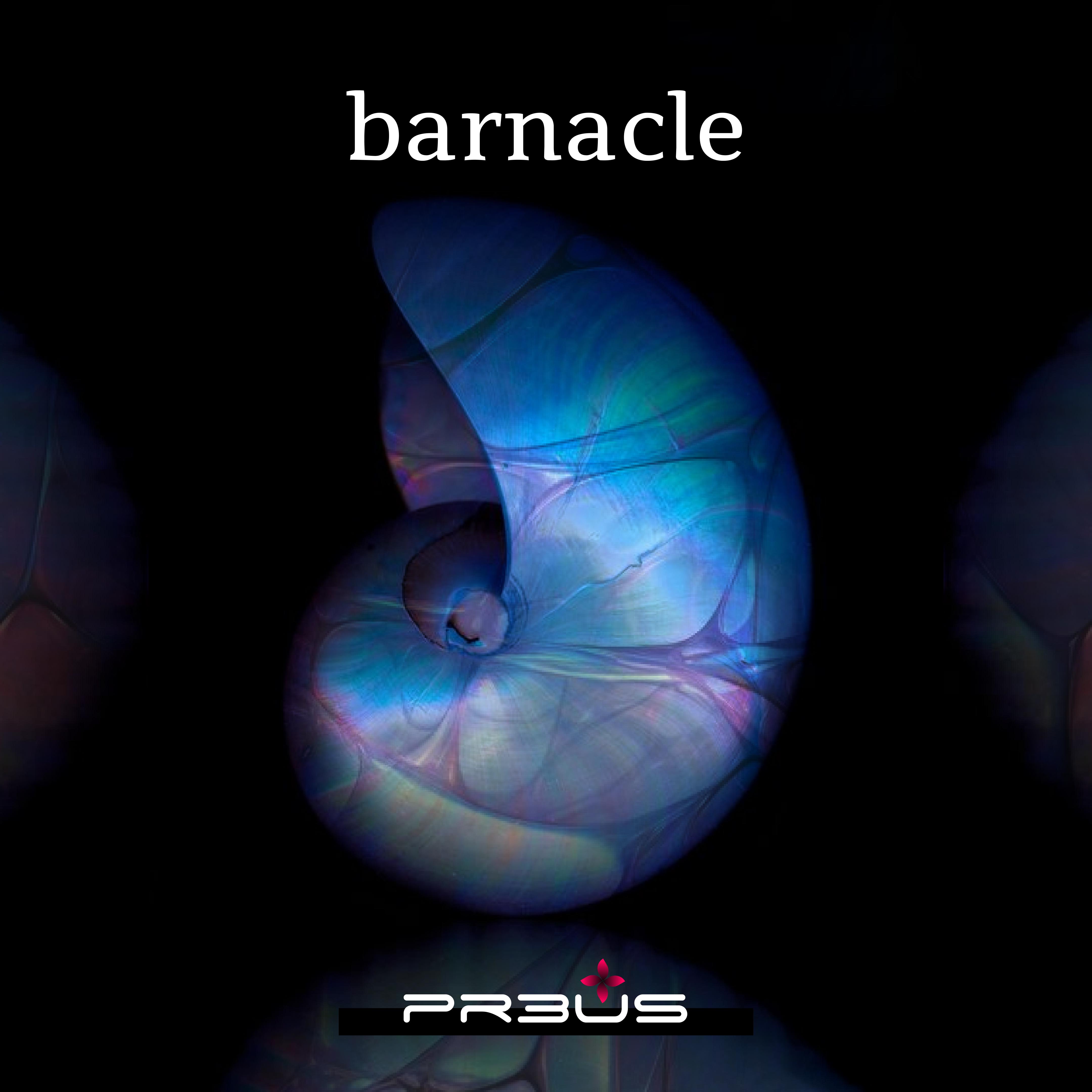Постер альбома Barnacle