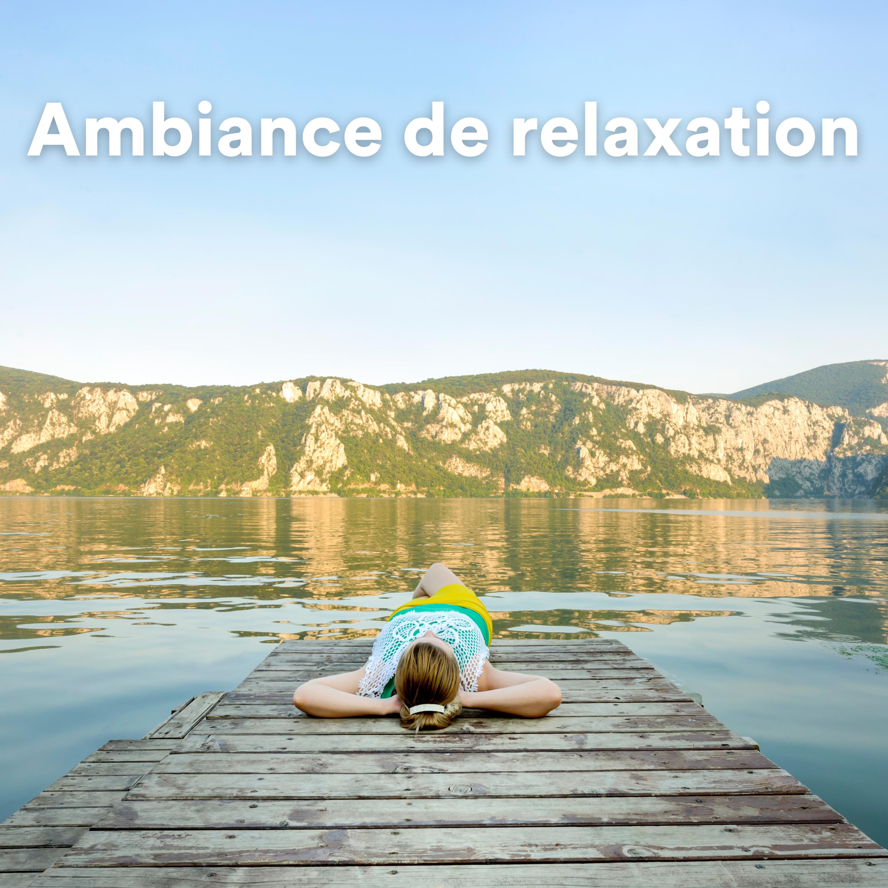 Постер альбома Ambiance de relaxation