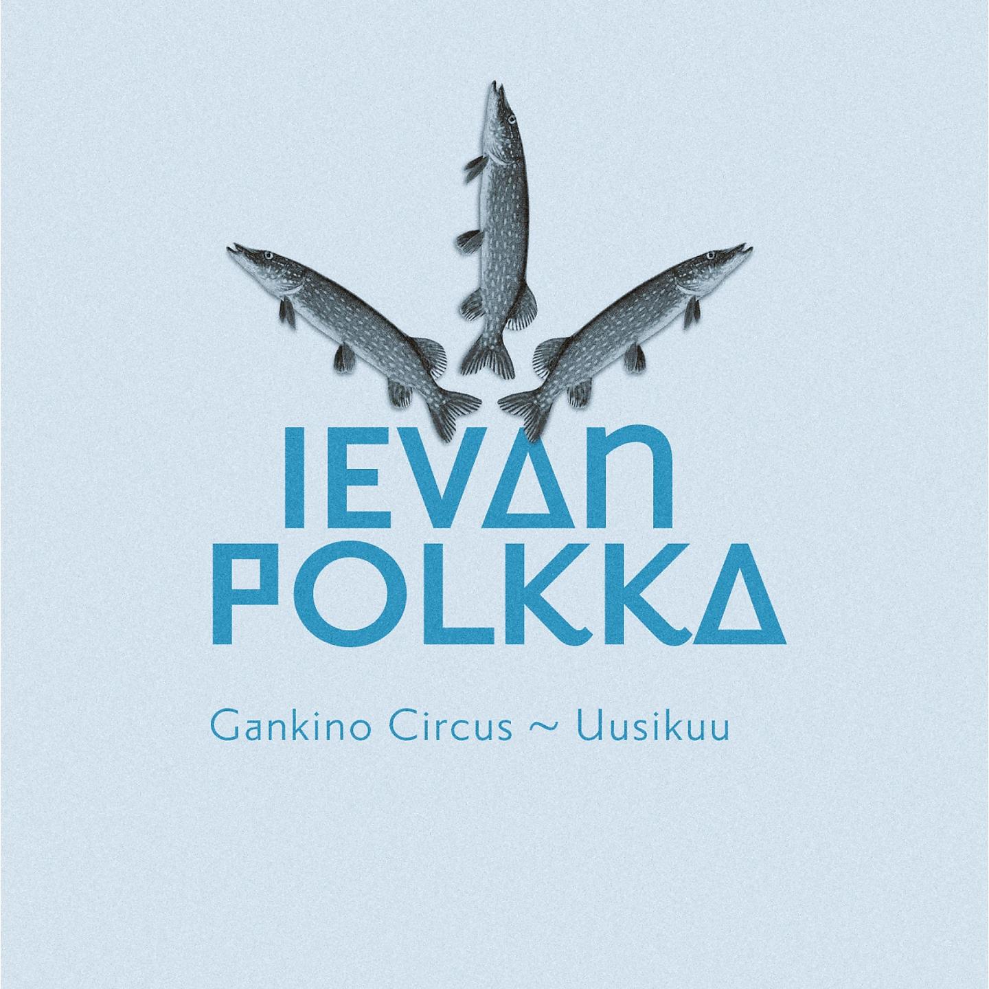Постер альбома Ievan polkka