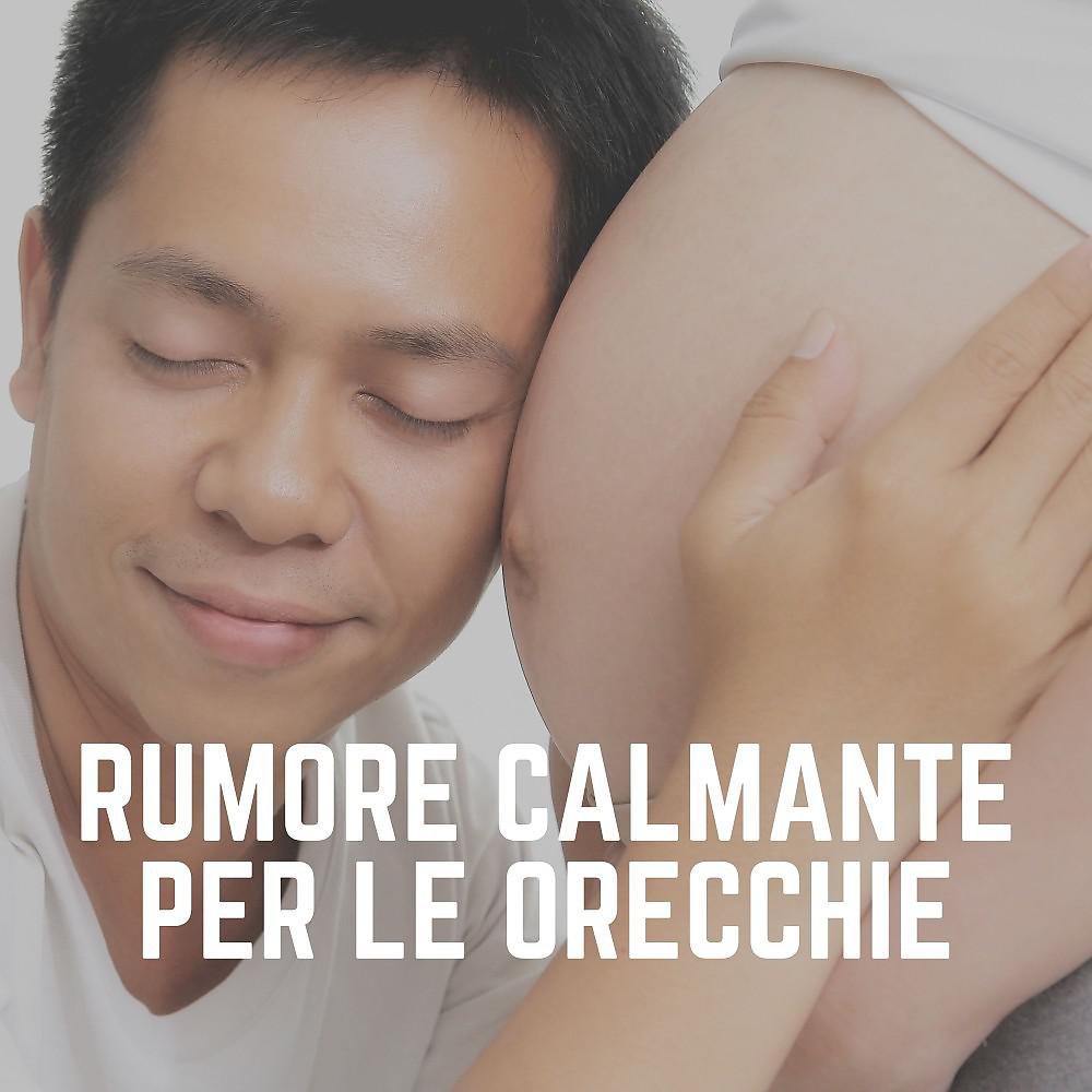 Постер альбома Rumore Calmante per Le Orecchie