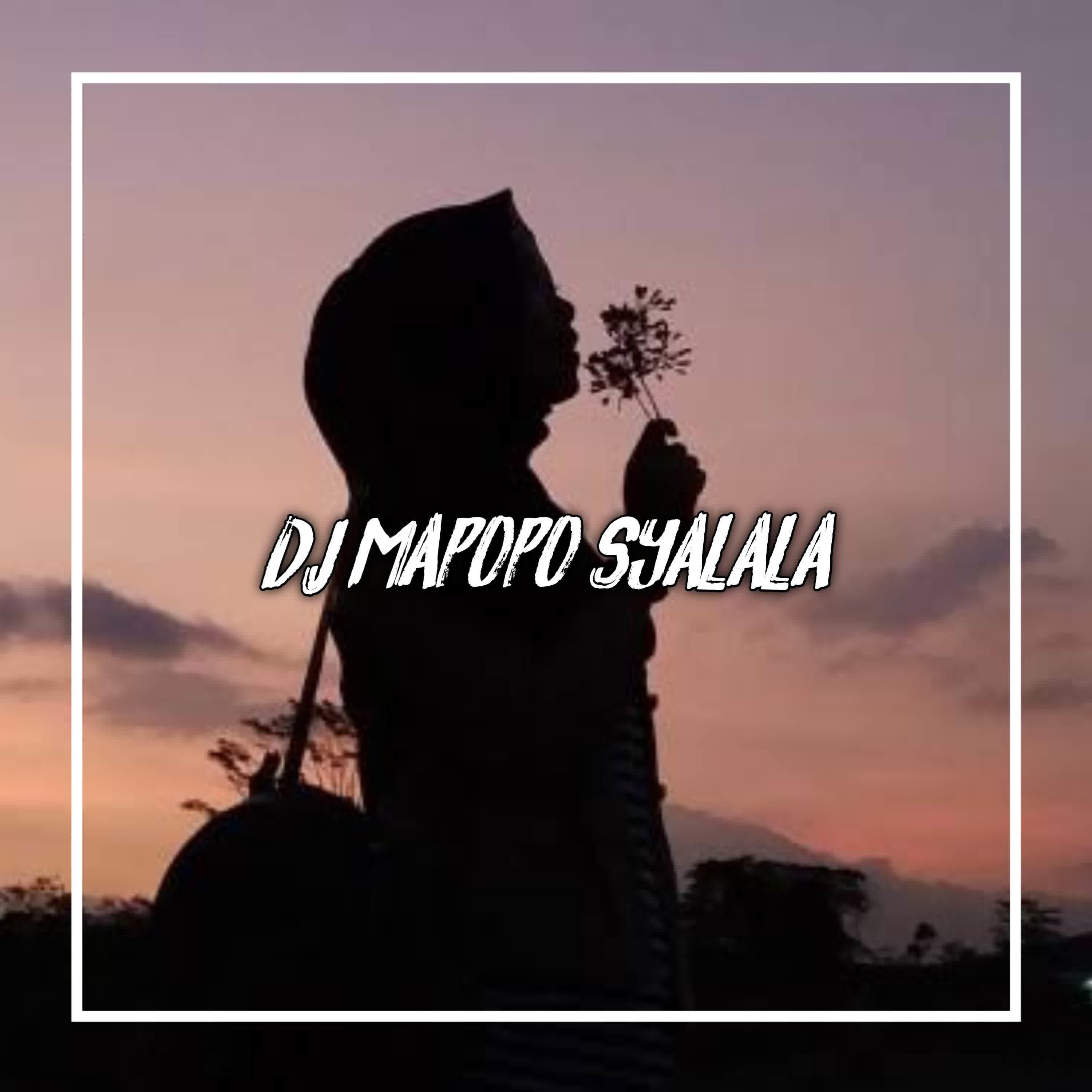 Постер альбома Dj Mapopo Syalala Slow Bass