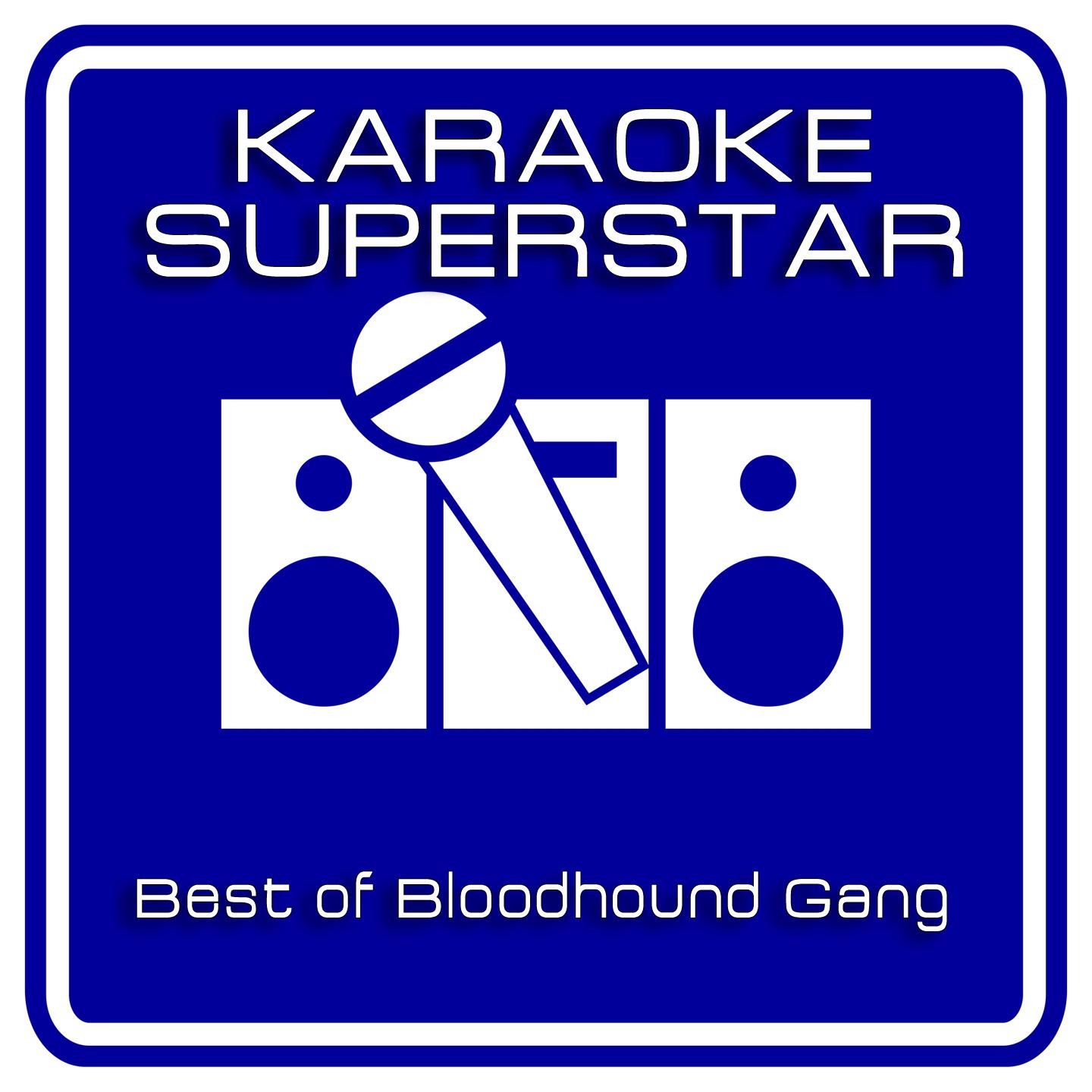 Постер альбома The Best Of Bloodhound Gang (Karaoke Version)