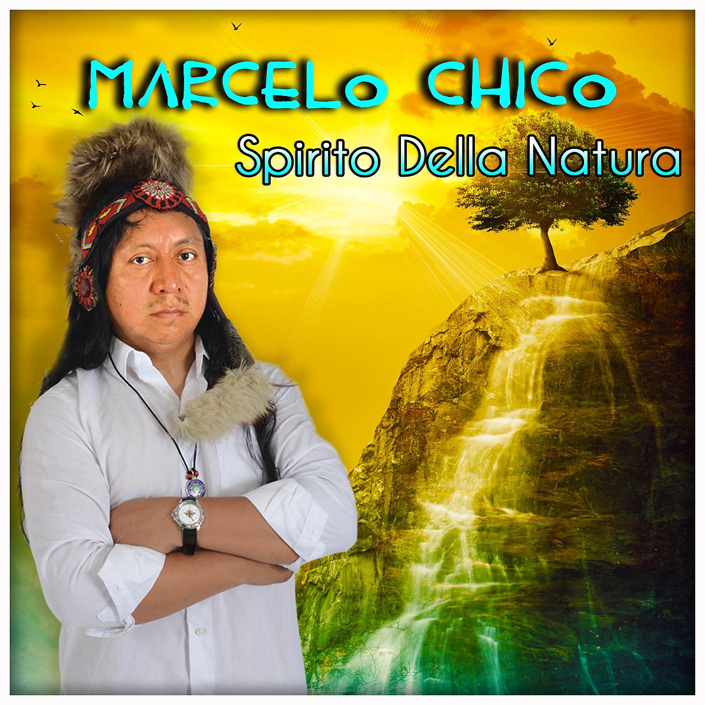 Постер альбома Spirito della natura