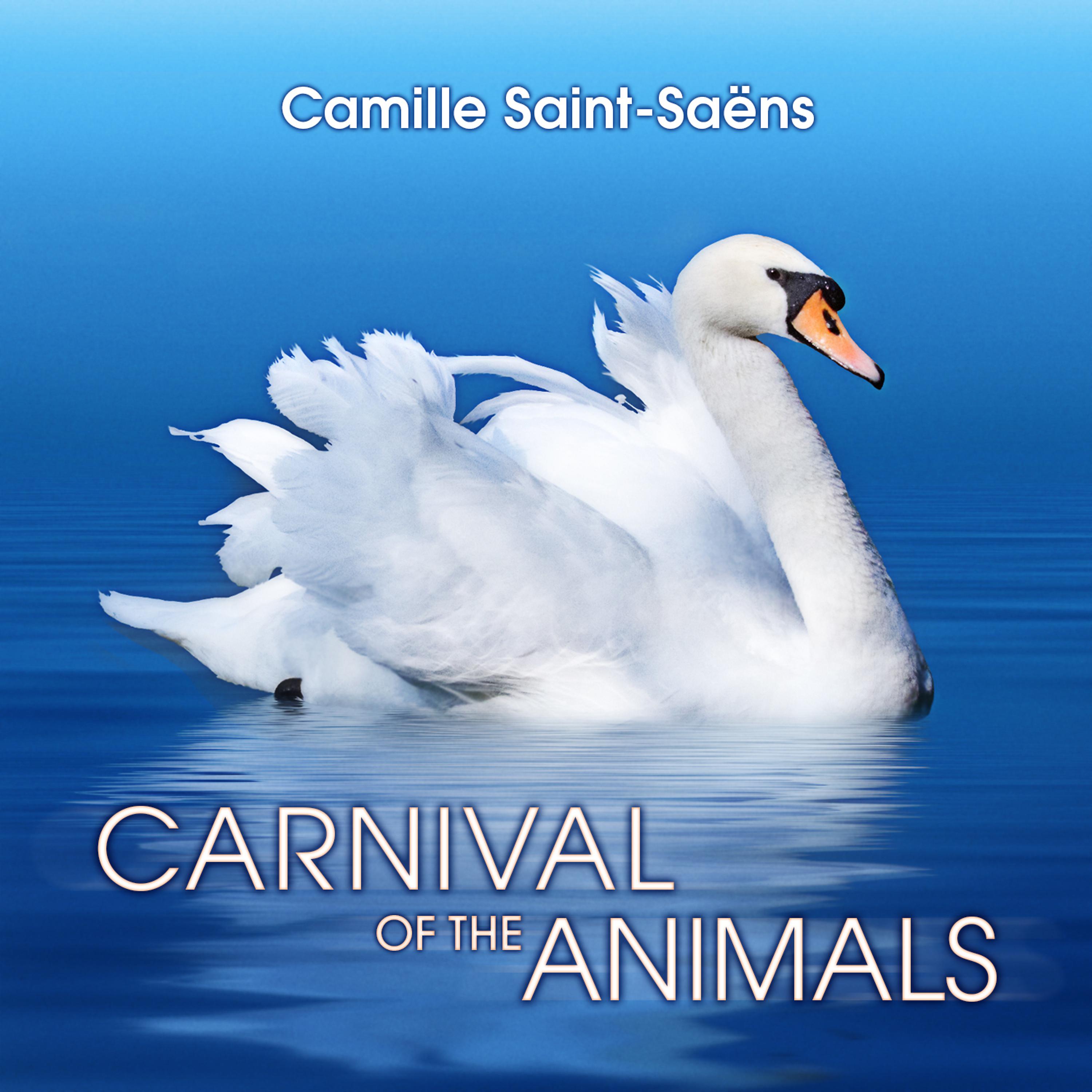 Постер альбома Carnival of the Animals