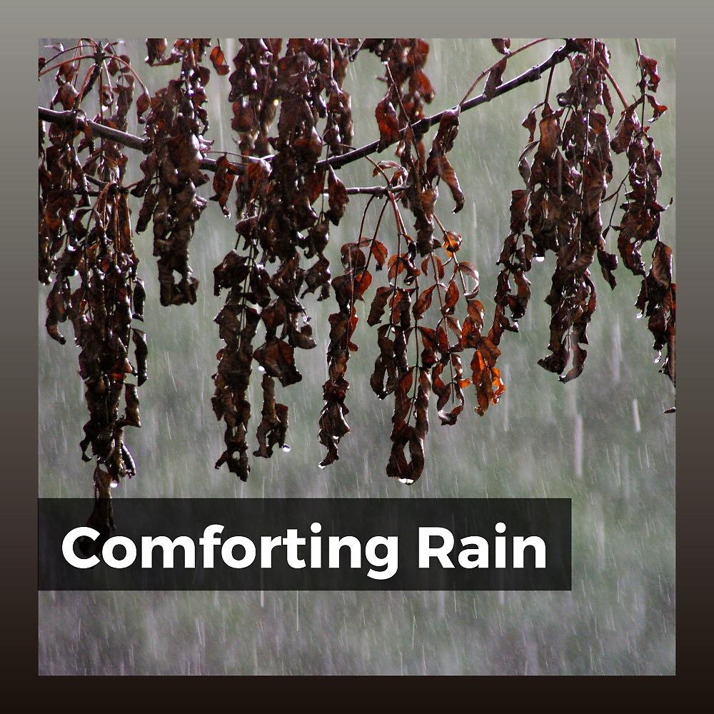 Постер альбома Comforting Rain