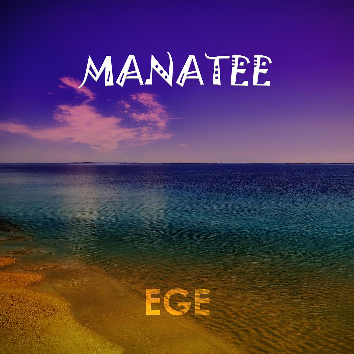 Постер альбома Manatee