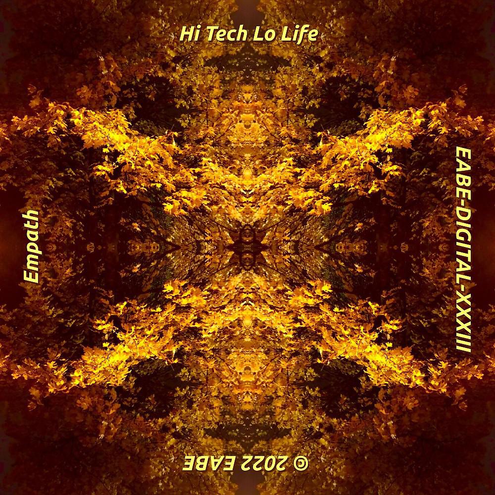 Постер альбома Hi Tech Lo Life