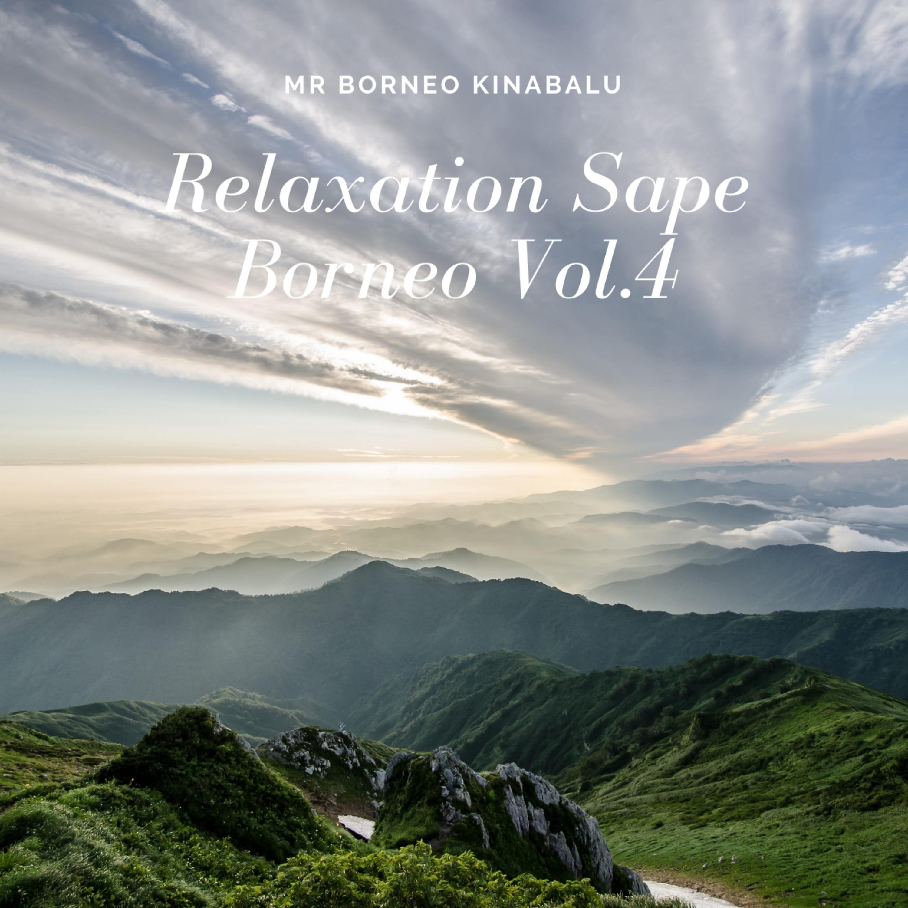 Постер альбома Relaxation Sape Borneo, Vol. 4