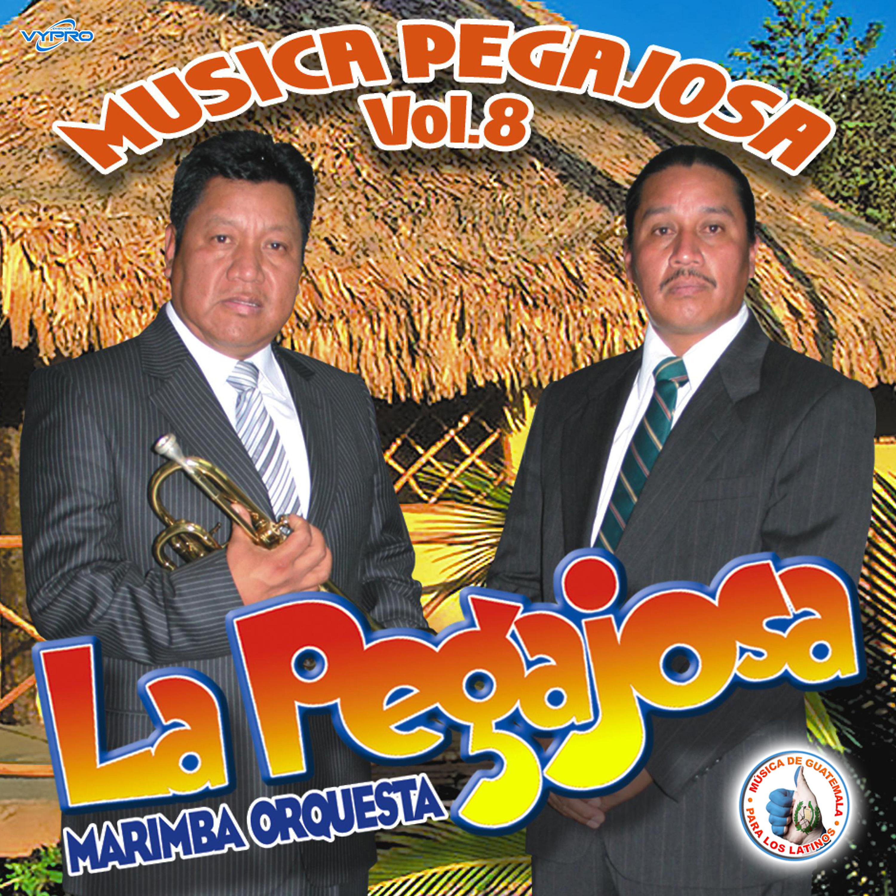 Постер альбома Música Pegajosa Vol. 8. Música de Guatemala para los Latinos