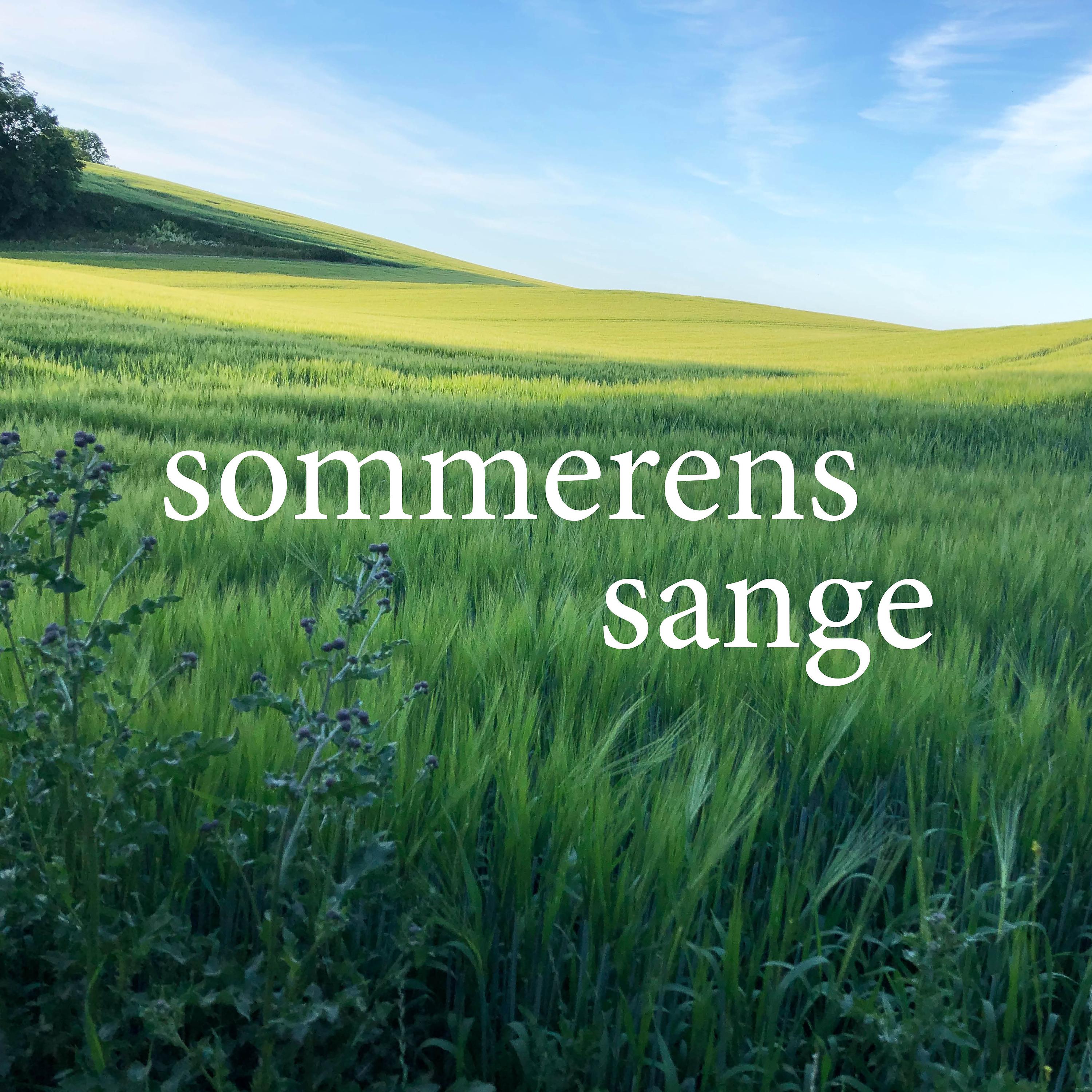 Постер альбома Sommerens Sange