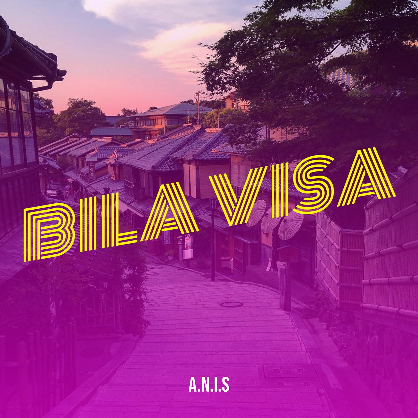 Постер альбома Bila Visa
